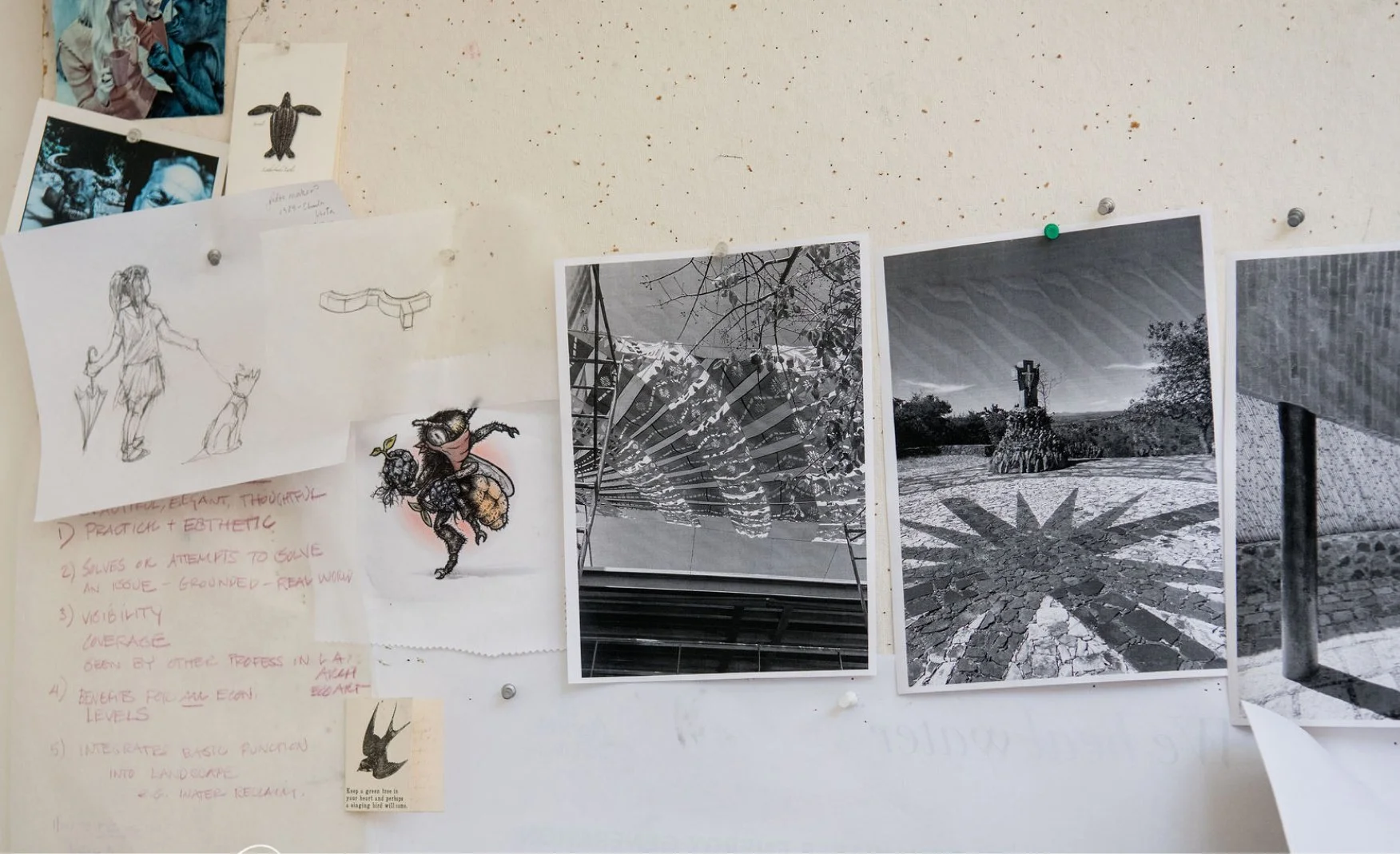 Photos and drawings hanging on the wall with push pins