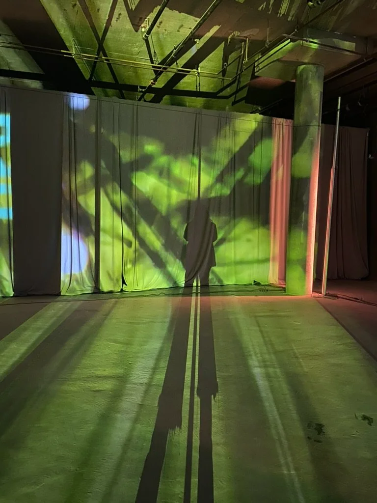 Digital art and lightshow