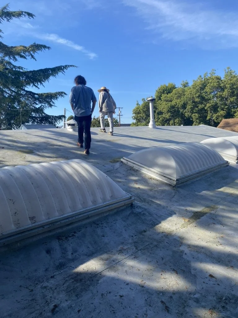 Two people walk on the roof of an artist's home