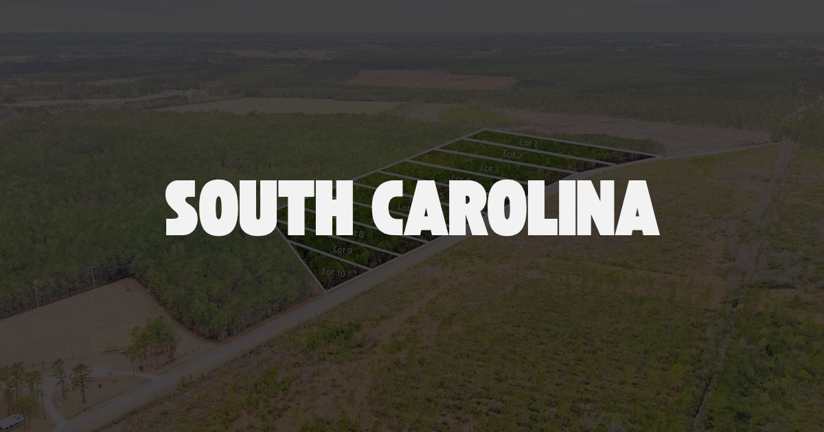 2 Tiny Home Friendly Acres in South Carolina