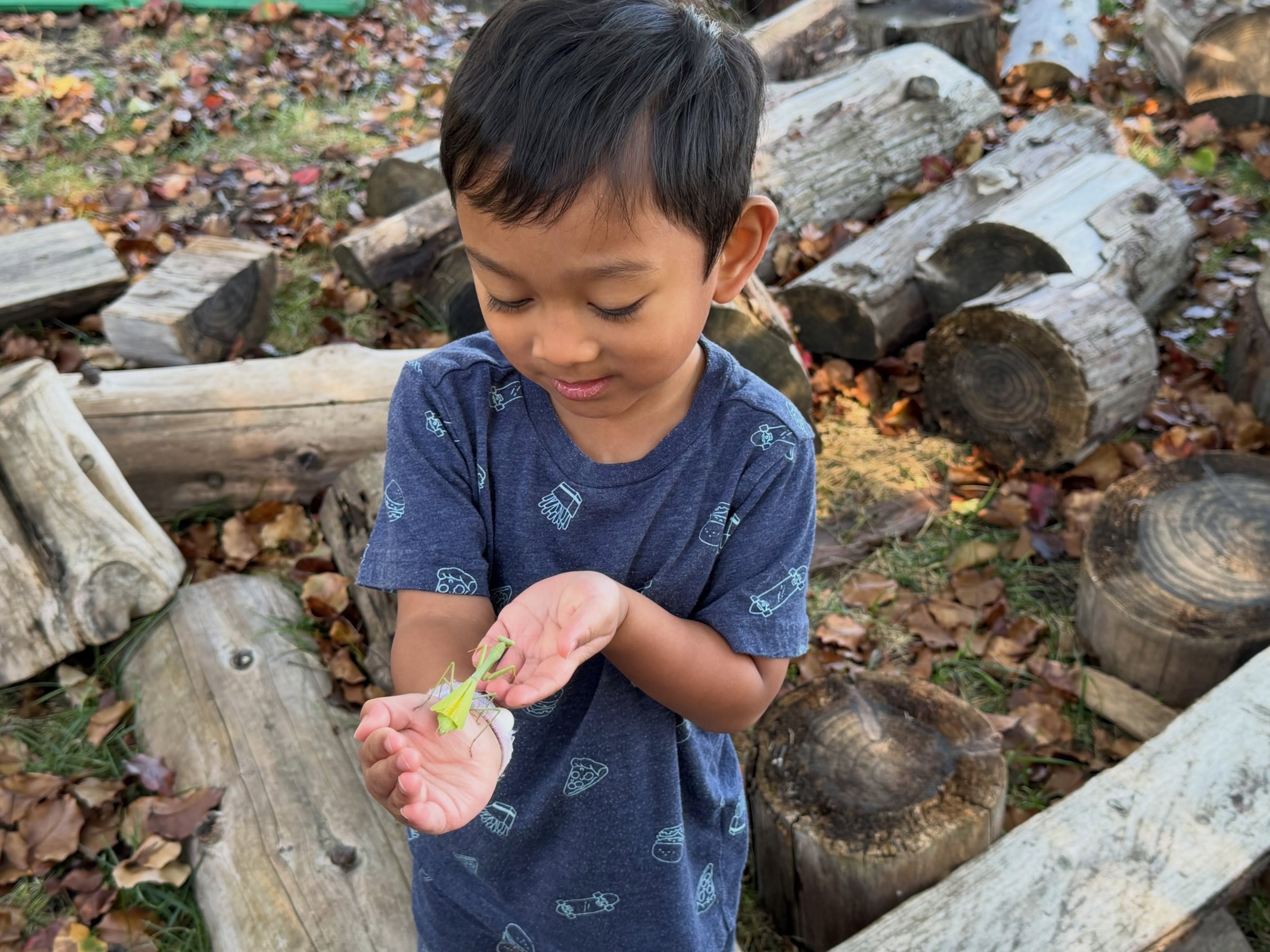 We had a praying mantis friend visit us today. #ucnskids