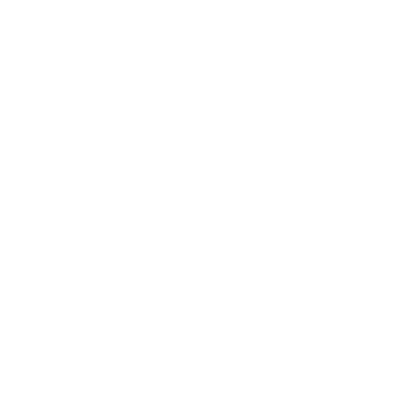 Boise Traditional Chinese Dance Group