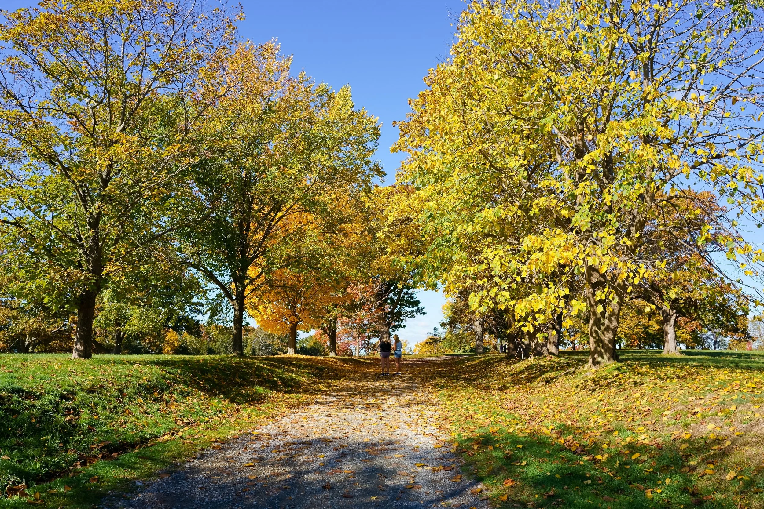 Hingham shutterstock_2296892413.jpg