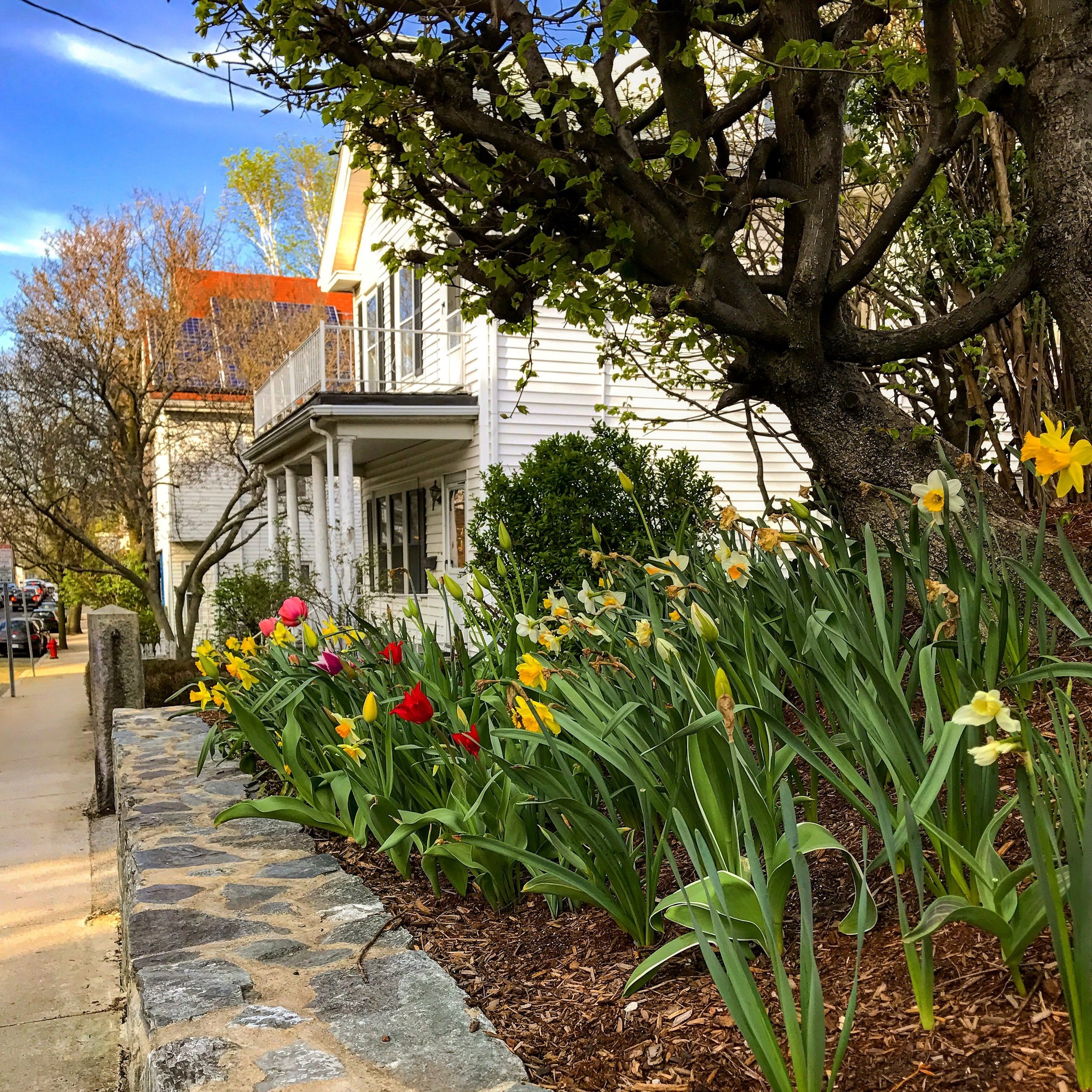 Streeet shutterstock_630599279.jpg