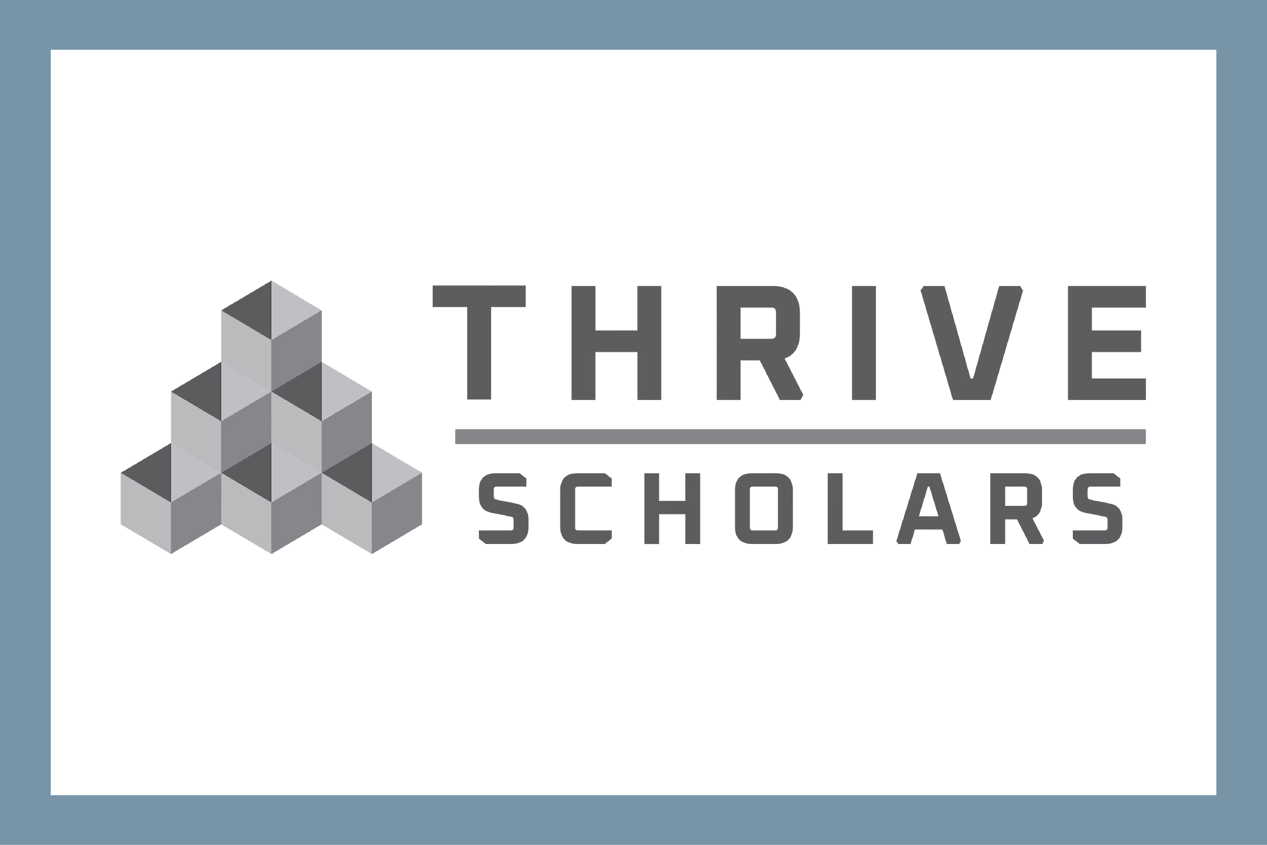 Logo for Thrive Scholars, featuring gray geometric cubes and text on a black background.