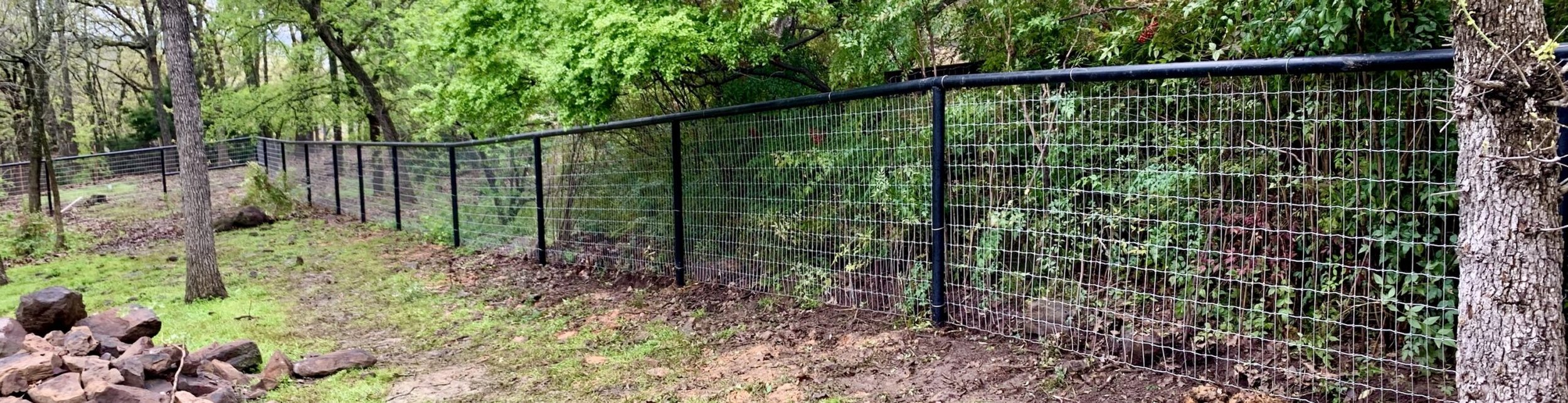 fence2.jpg