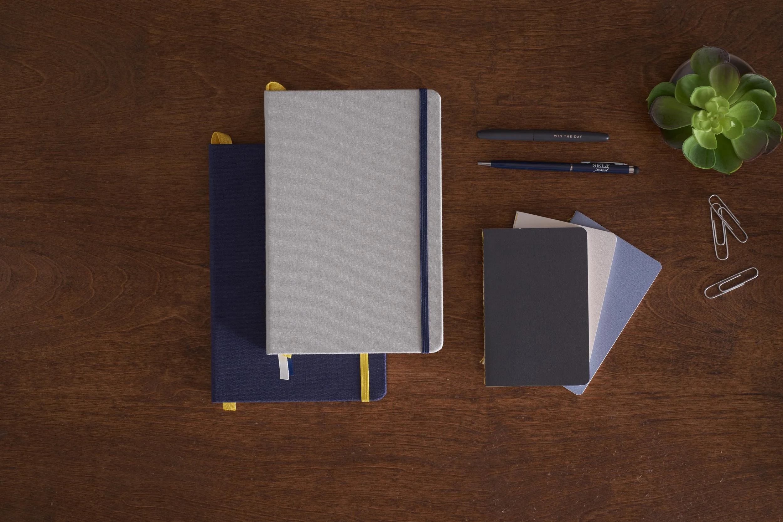 Top-down view of a wooden desk with notebooks, pens, paper clips, and a green succulent plant placed on the right.
