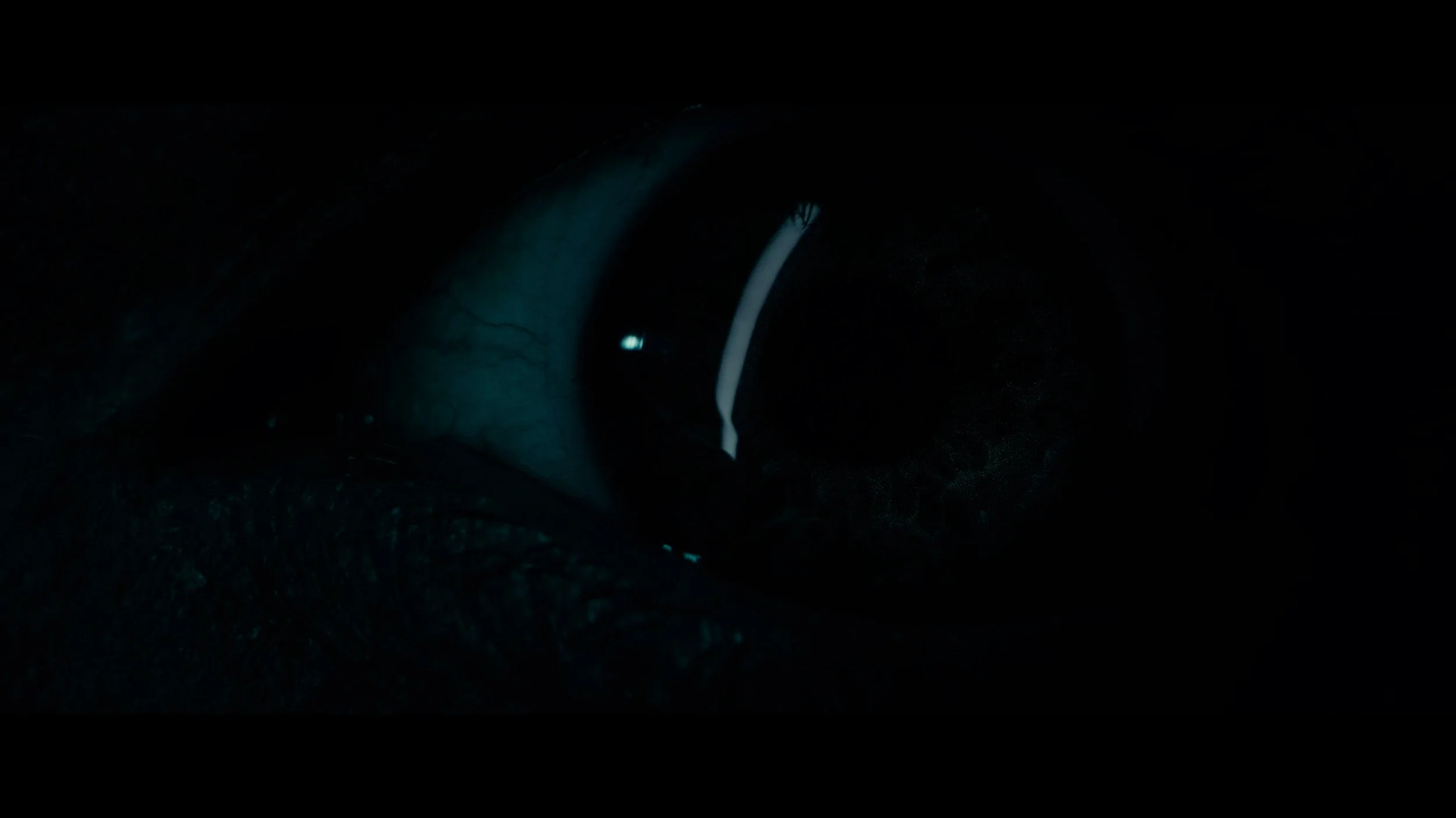 Close-up of a human eye in darkness, highlighting the iris and reflection on the cornea.