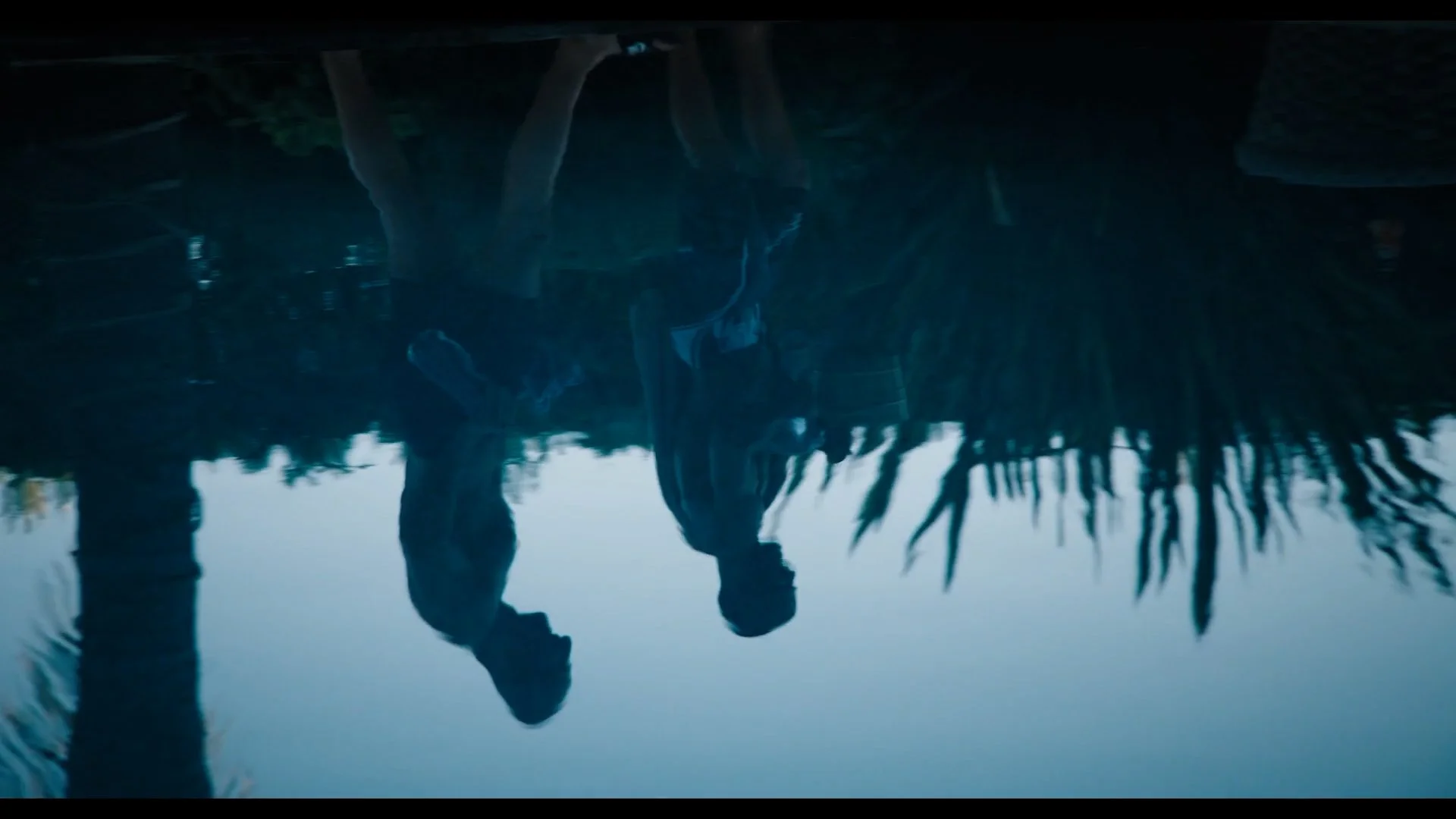 Silhouettes of two people standing by a pond or lake, with their reflections visible in the water, surrounded by tropical vegetation.