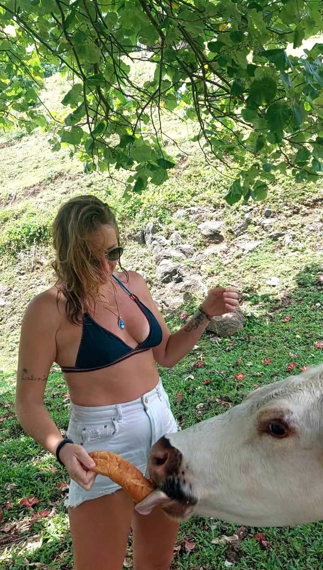 A woman with sunglasses and a blue bikini top feeding a goat with a large piece of bread outdoors near trees and rocks.