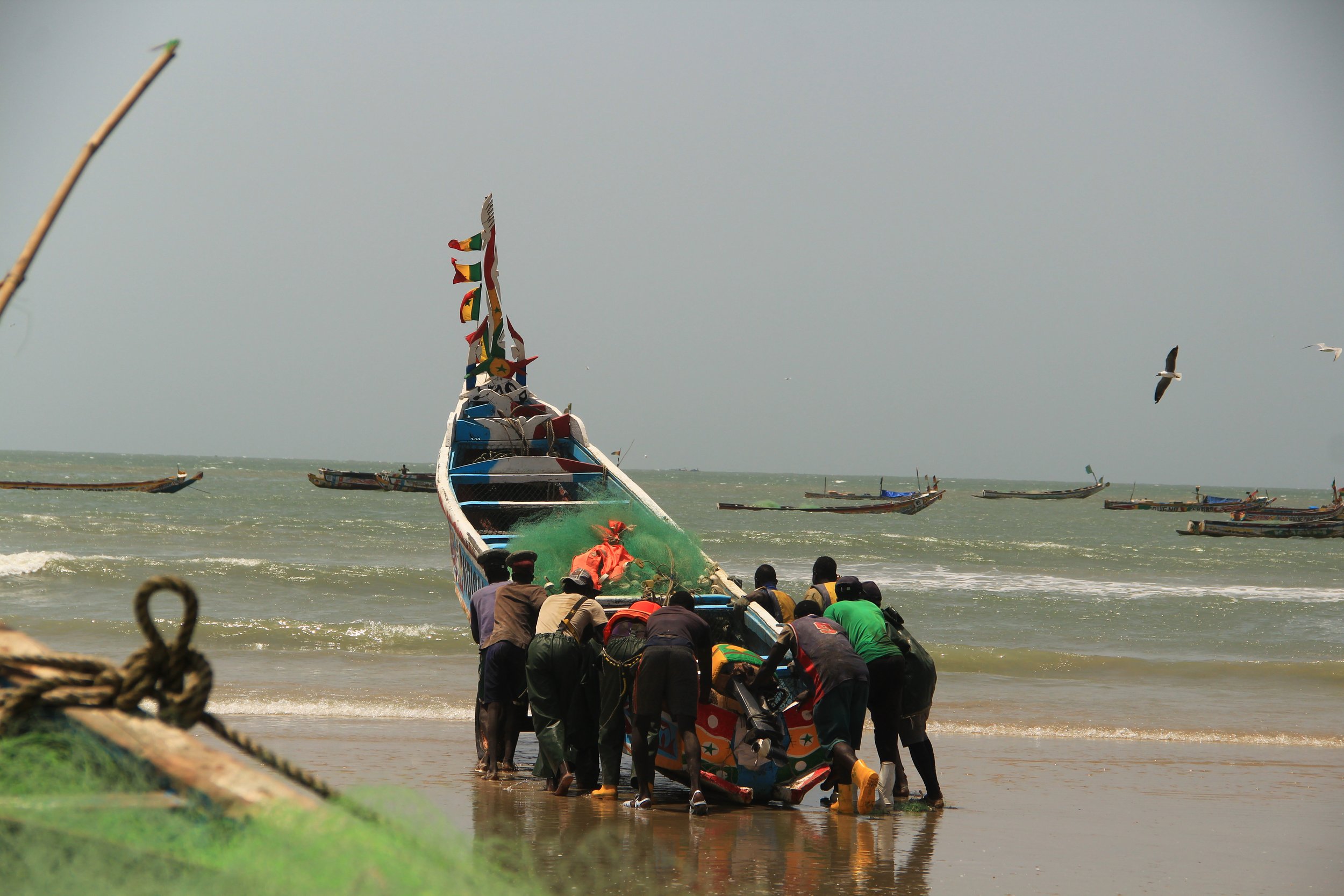 A group of men pushing a colorful fishing boat into the ocean on a beach, with several other boats visible in the water and seagulls flying overhead.