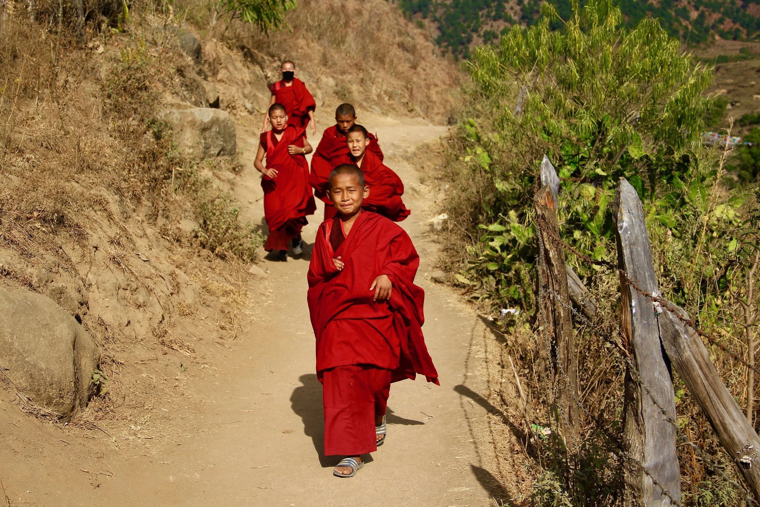 Six young monks in red robes walking along a dirt trail on a hillside, with dry vegetation and old wooden fence posts on the sides of the path.