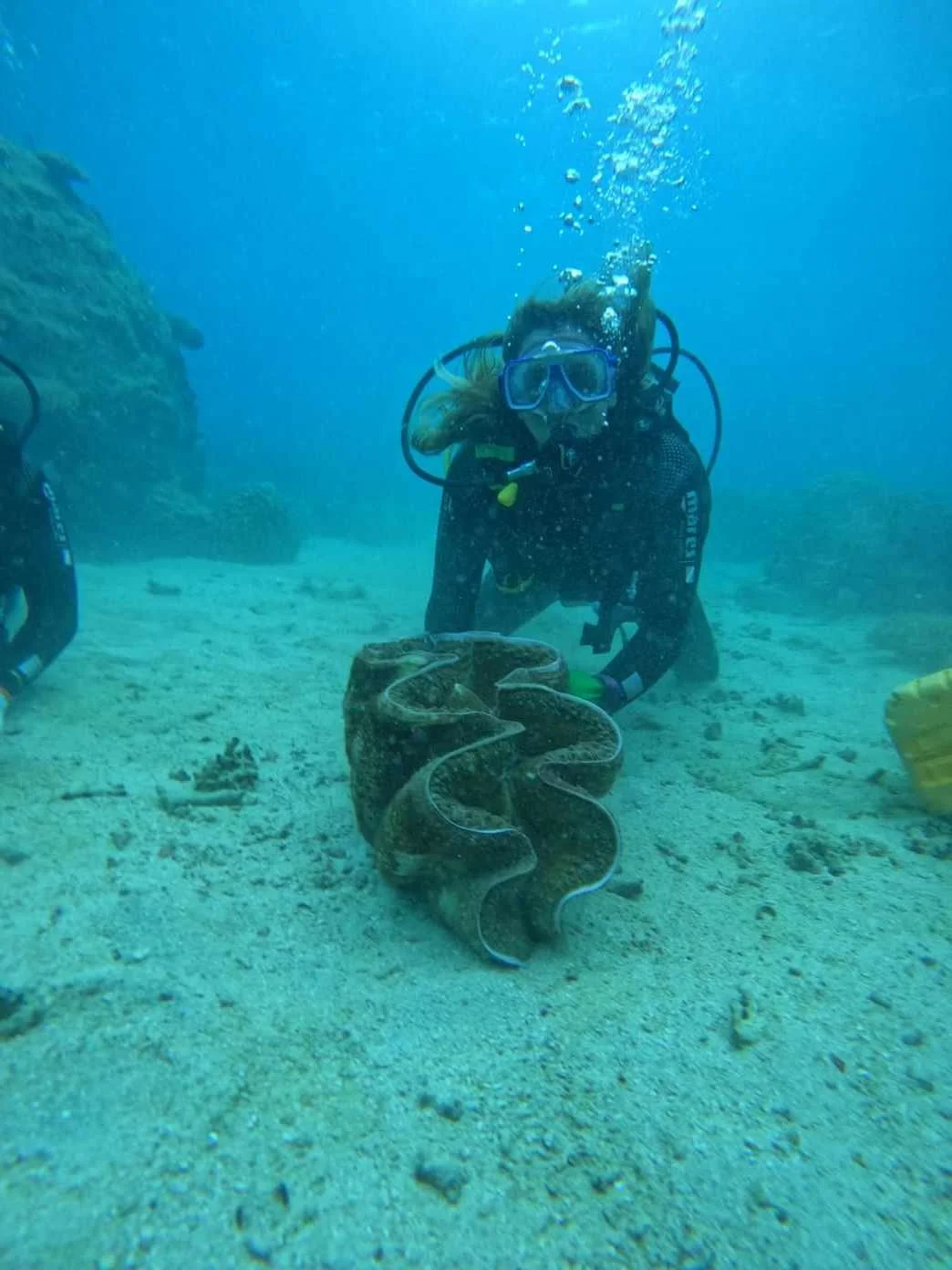 A person scuba diving underwater, holding a large, coiled octopus on the ocean floor.