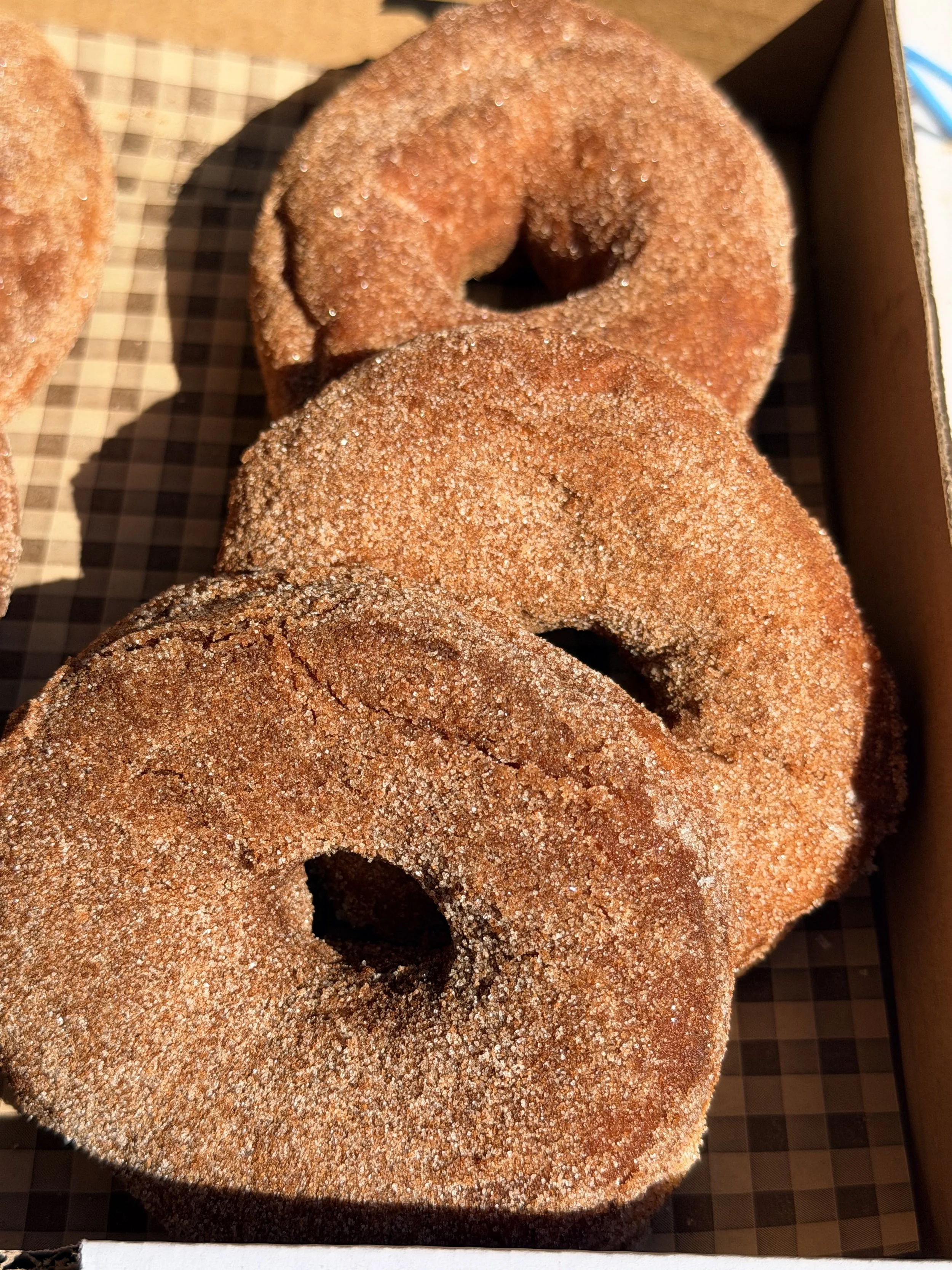 Cinnamon sugar brioche donuts- 3 pack-