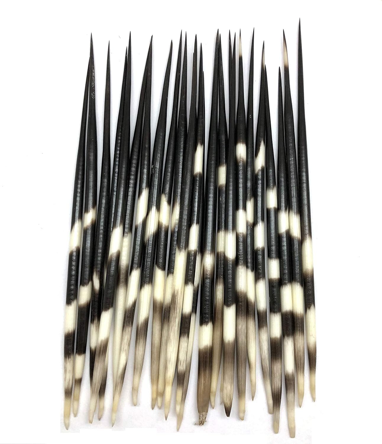 Porcupine Quill Floral Arrangements