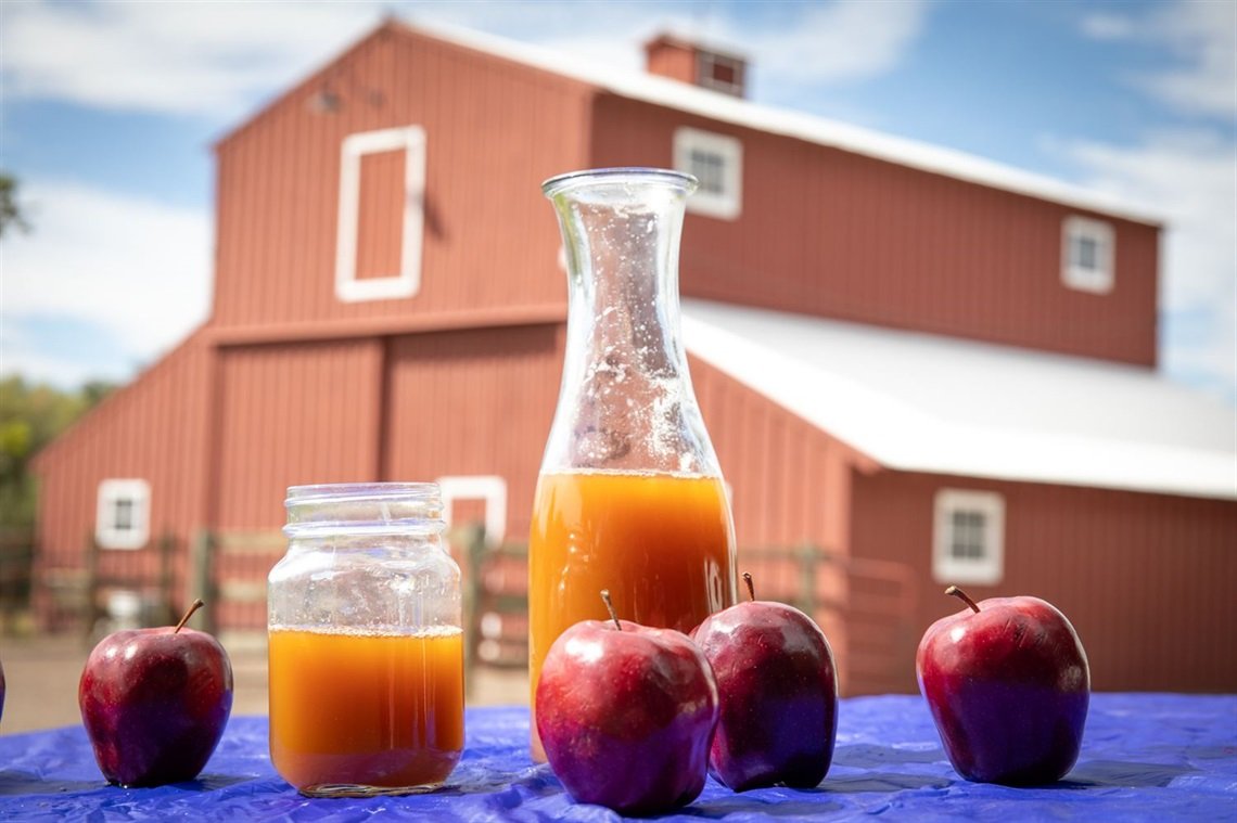 Lakewood Cider Days