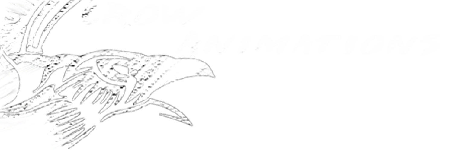 Crow Animations