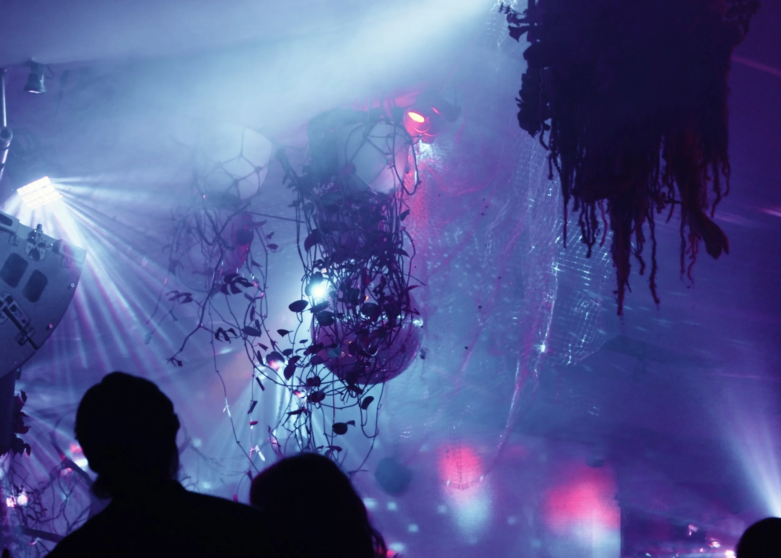 Still 2026-01-12 002305_1.92.1.jpeg