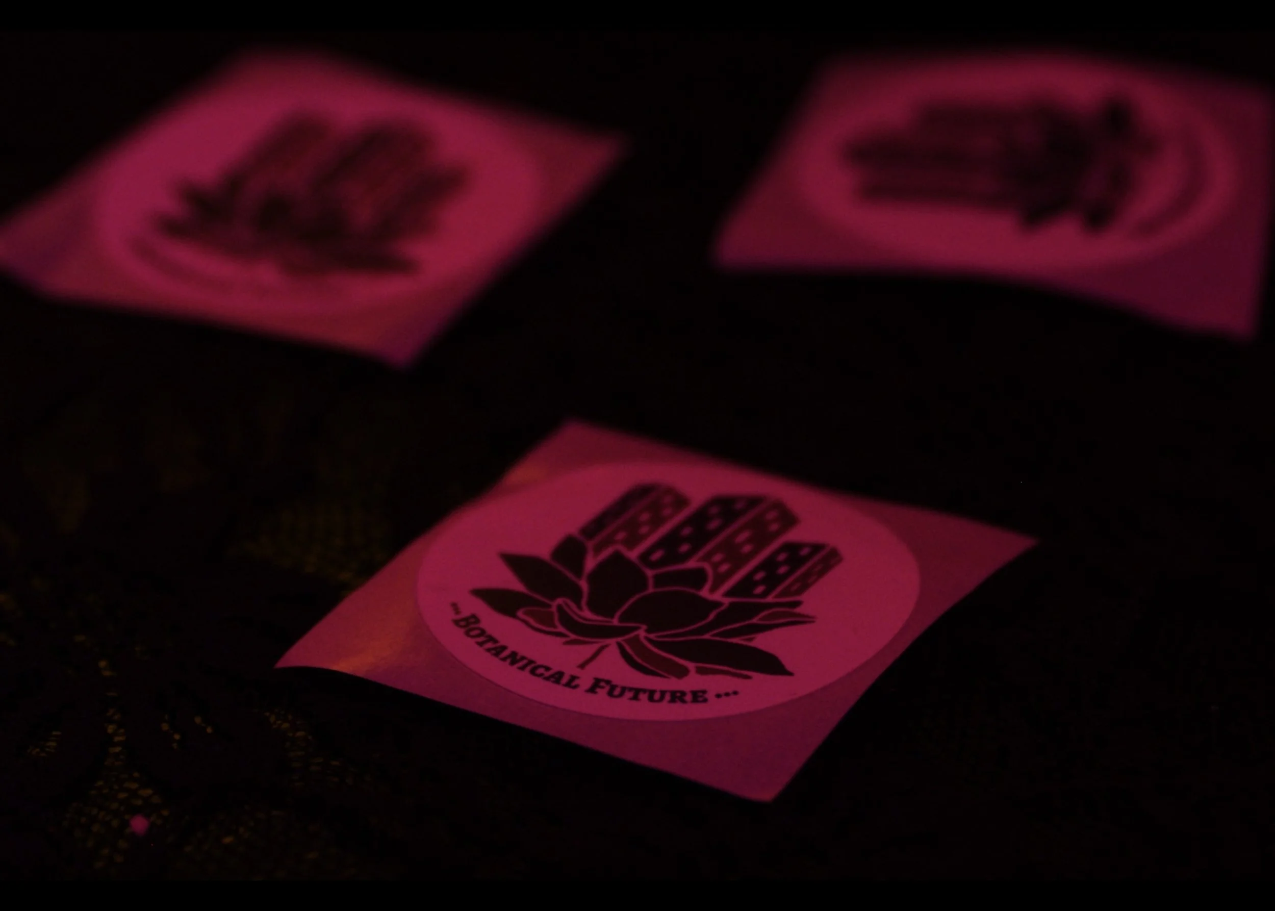 Still 2026-01-12 002305_1.101.1.jpeg