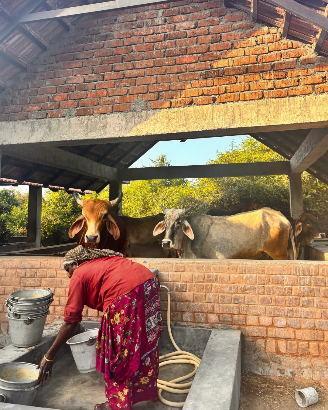 Building with the Land: Molasses Farm, South India