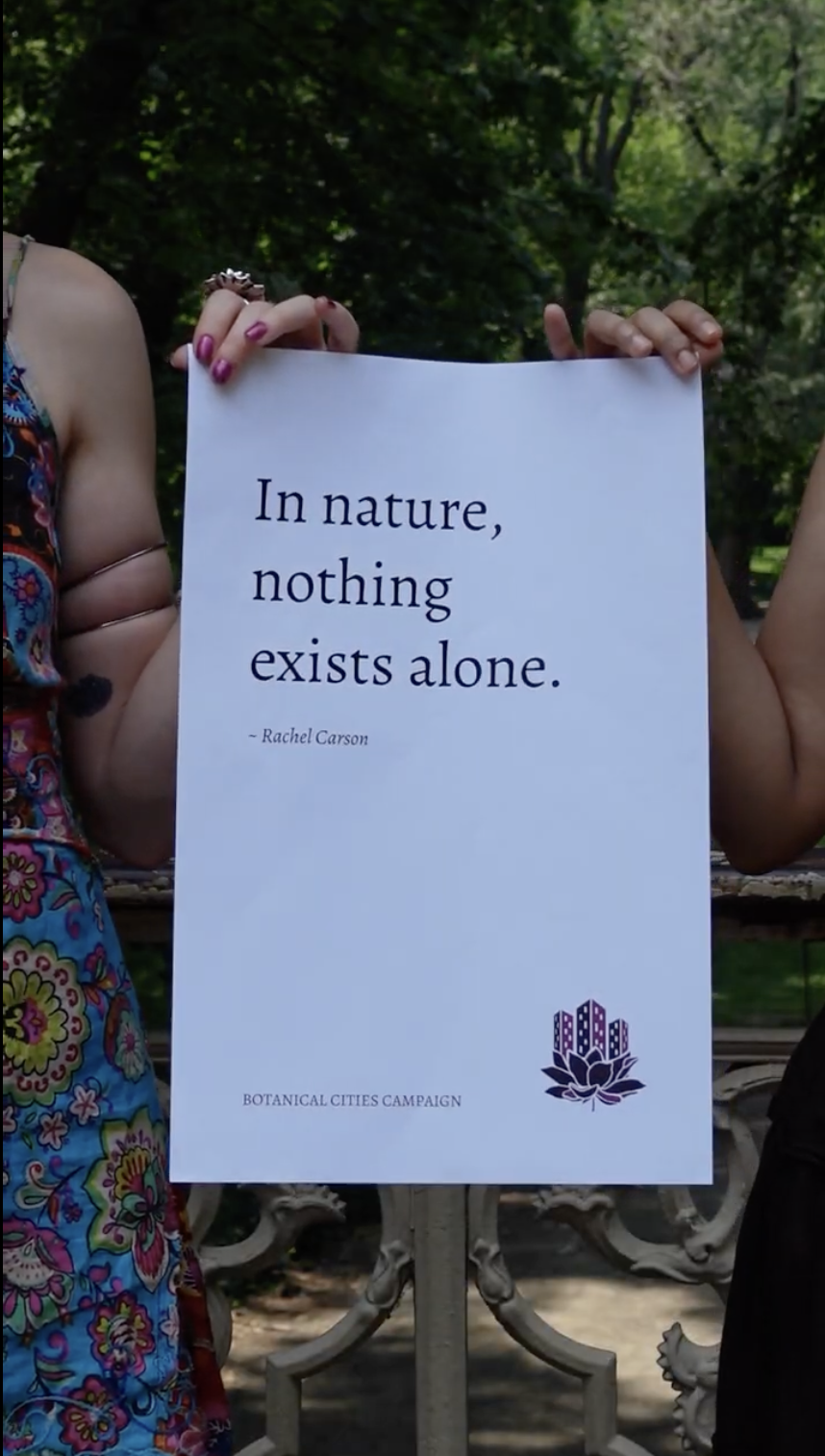 Screenshot 2026-02-03 at 10.53.58 AM.png