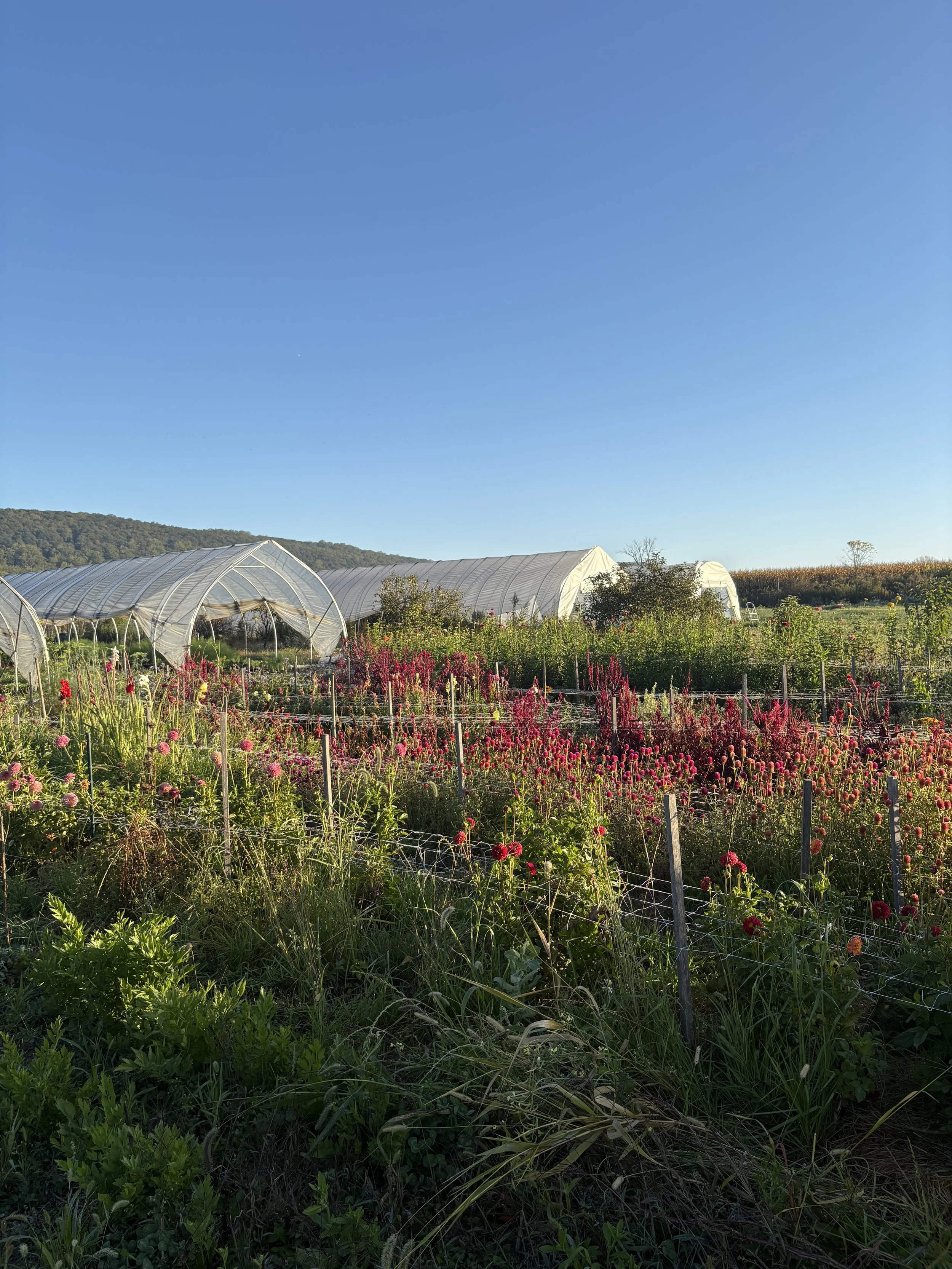 Ethos Farm to Health