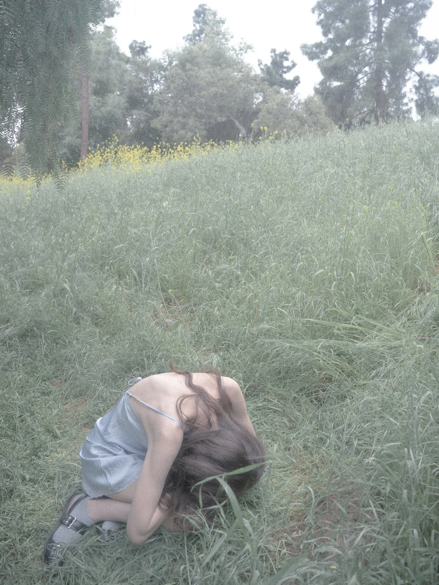 Photos from the grass last spring that I forgot about