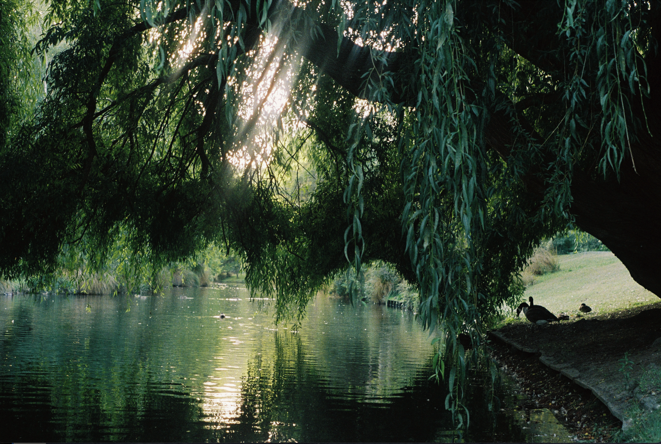 Screenshot 2026-02-26 at 12.12.11 PM.png