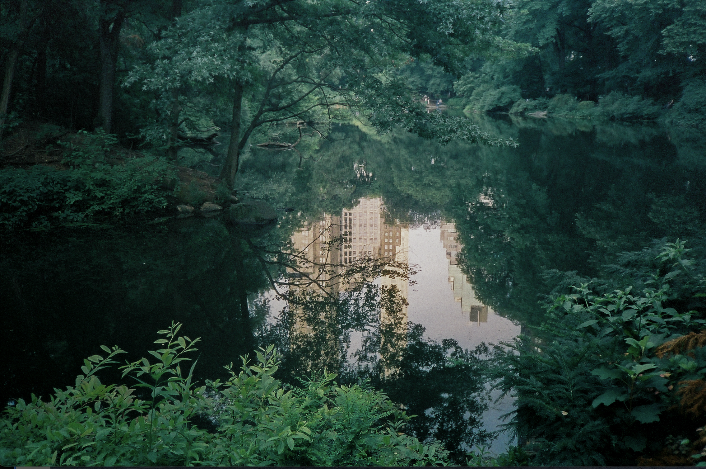 Screenshot 2026-02-26 at 12.14.29 PM.png