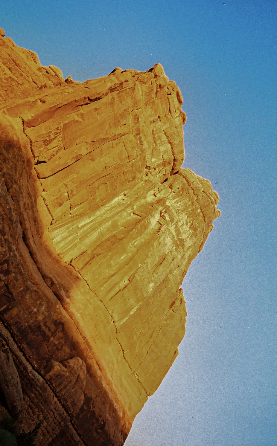 Screenshot 2026-02-26 at 12.13.10 PM.png