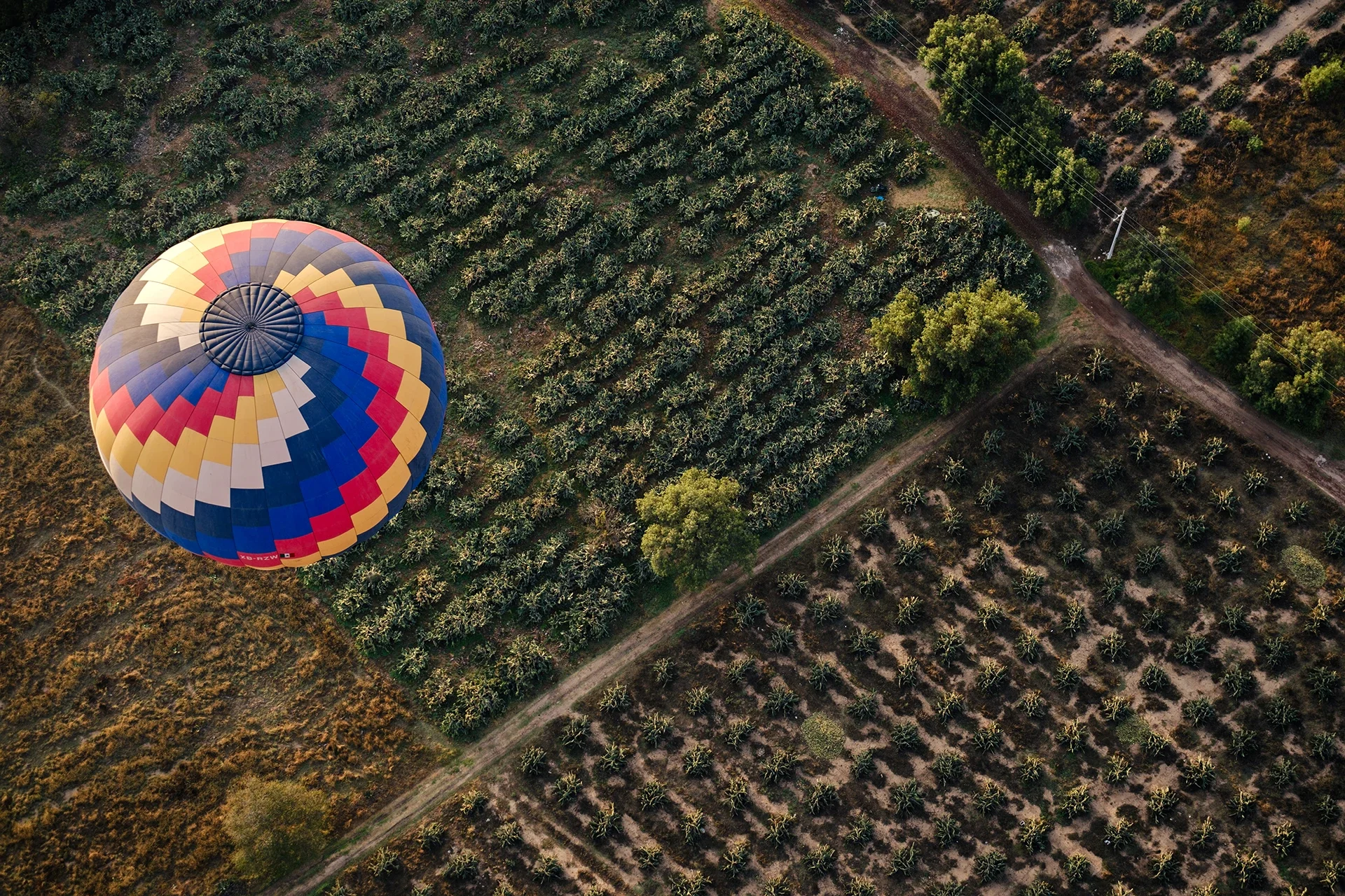 An aerial view of a multicolored hot air balloon floating above a landscape of trees and dirt roads.