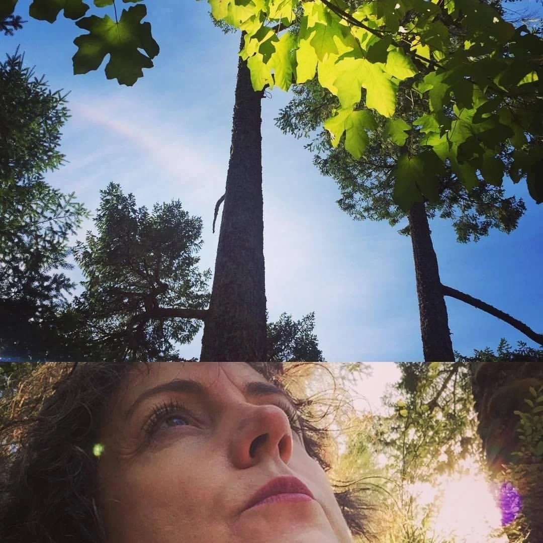 A photo split into two parts: the top features tall trees with green leaves against a blue sky, and the bottom shows a close-up of a woman's face with curly hair, looking up with sunlight filtering through trees.