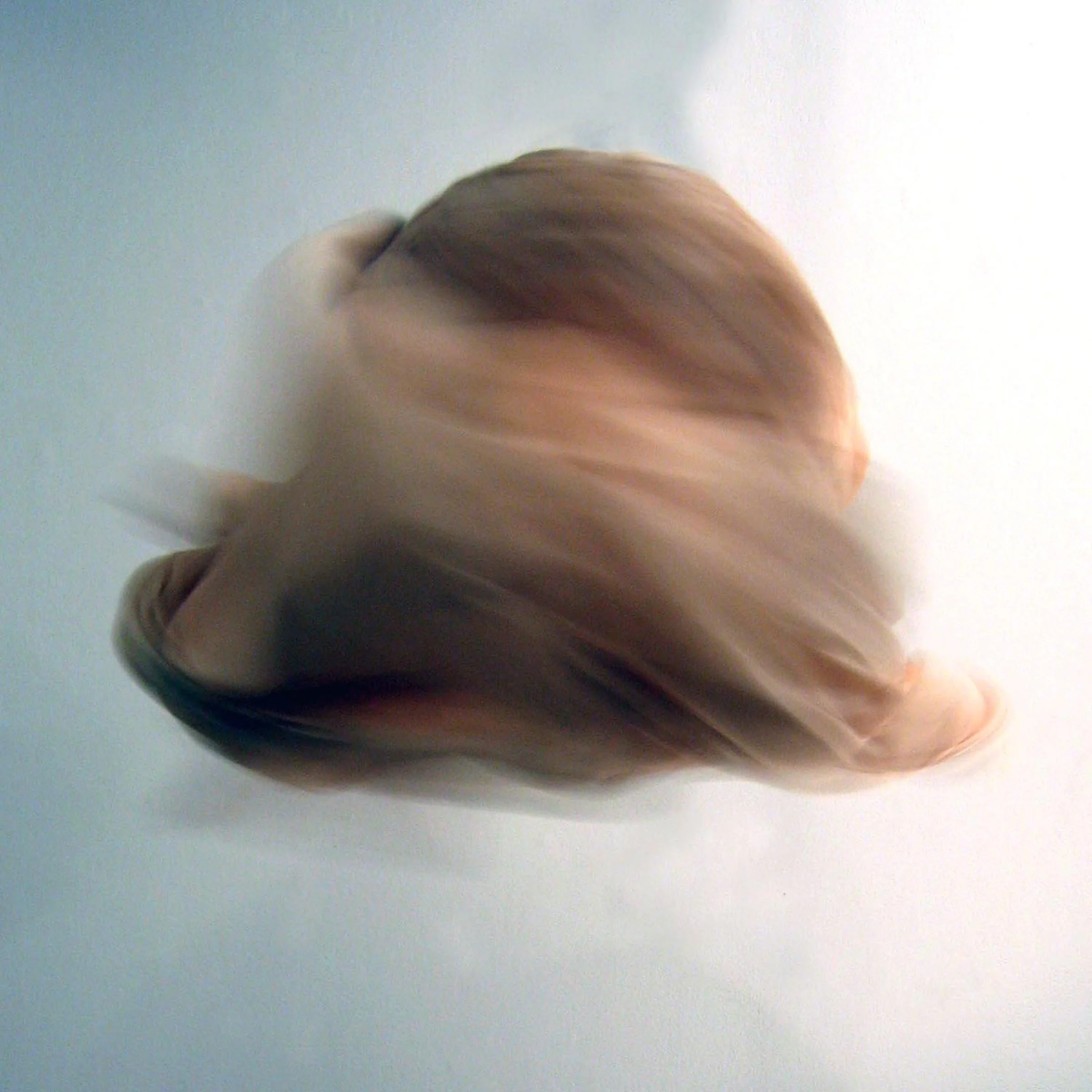 Absentessence, digital photo, 2007