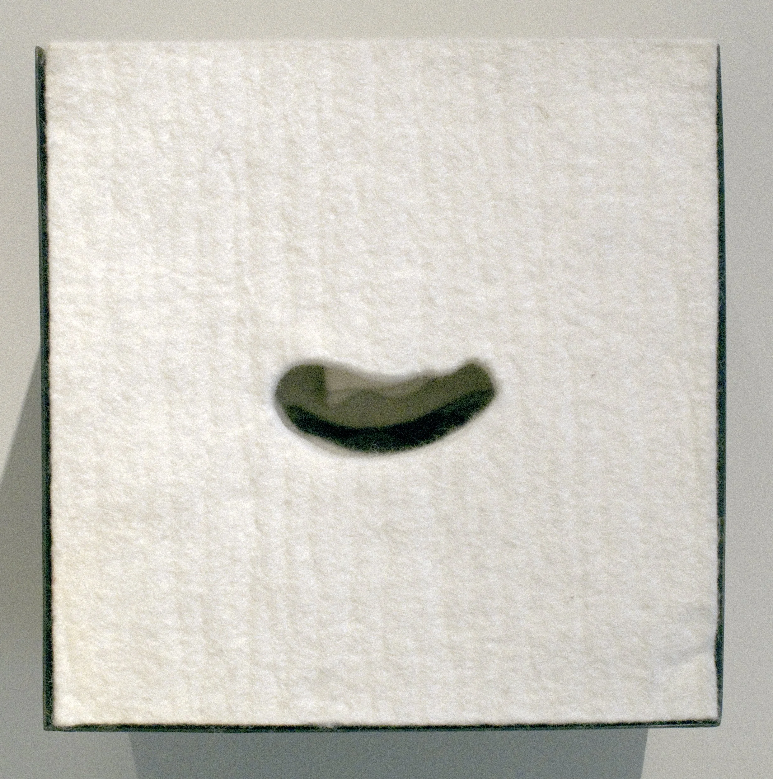 hollowing/burrowing: felt, steel, Mary Black Gallery, Halifax, 2010