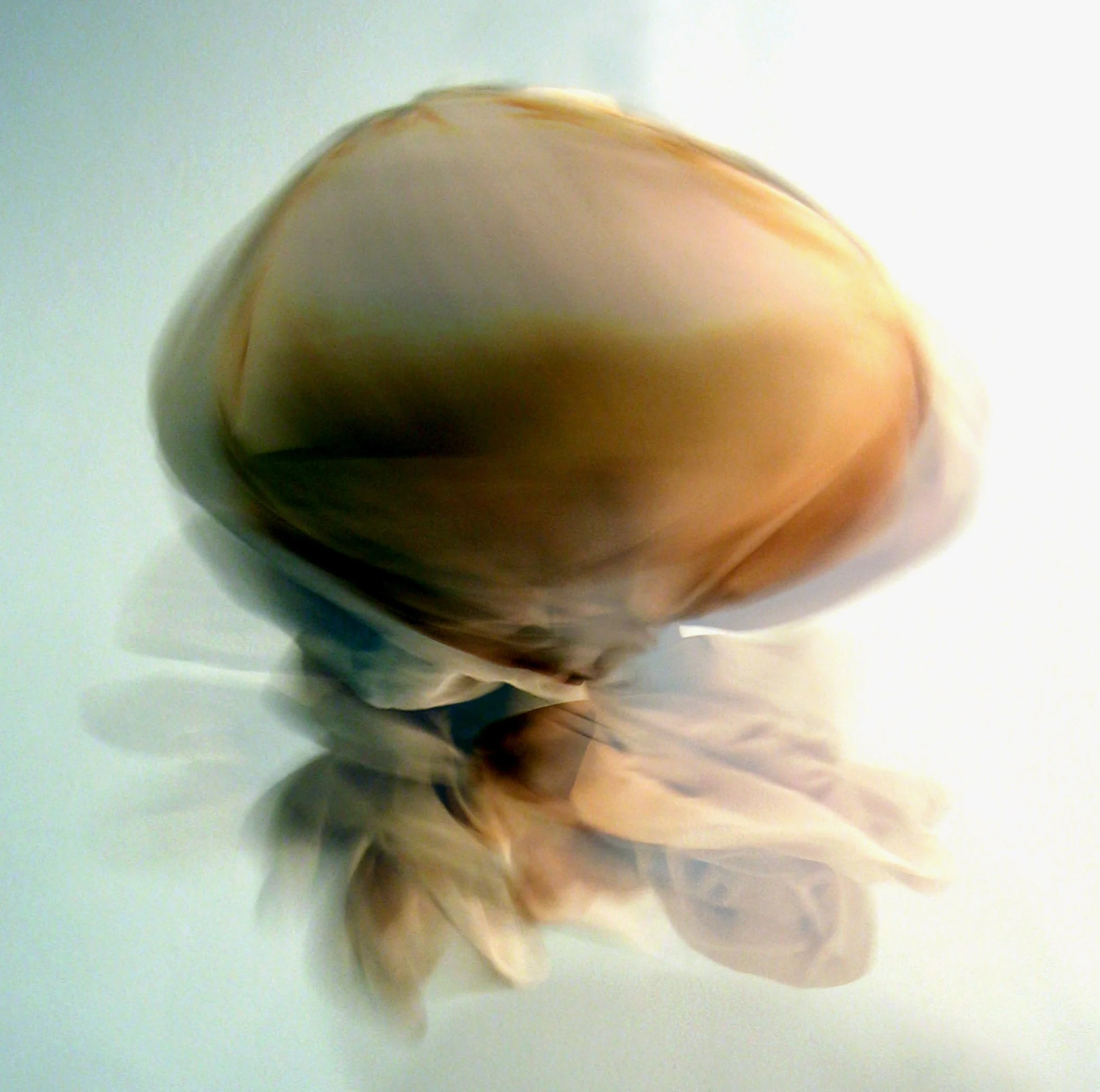 Absentessence, digital photo, 2007