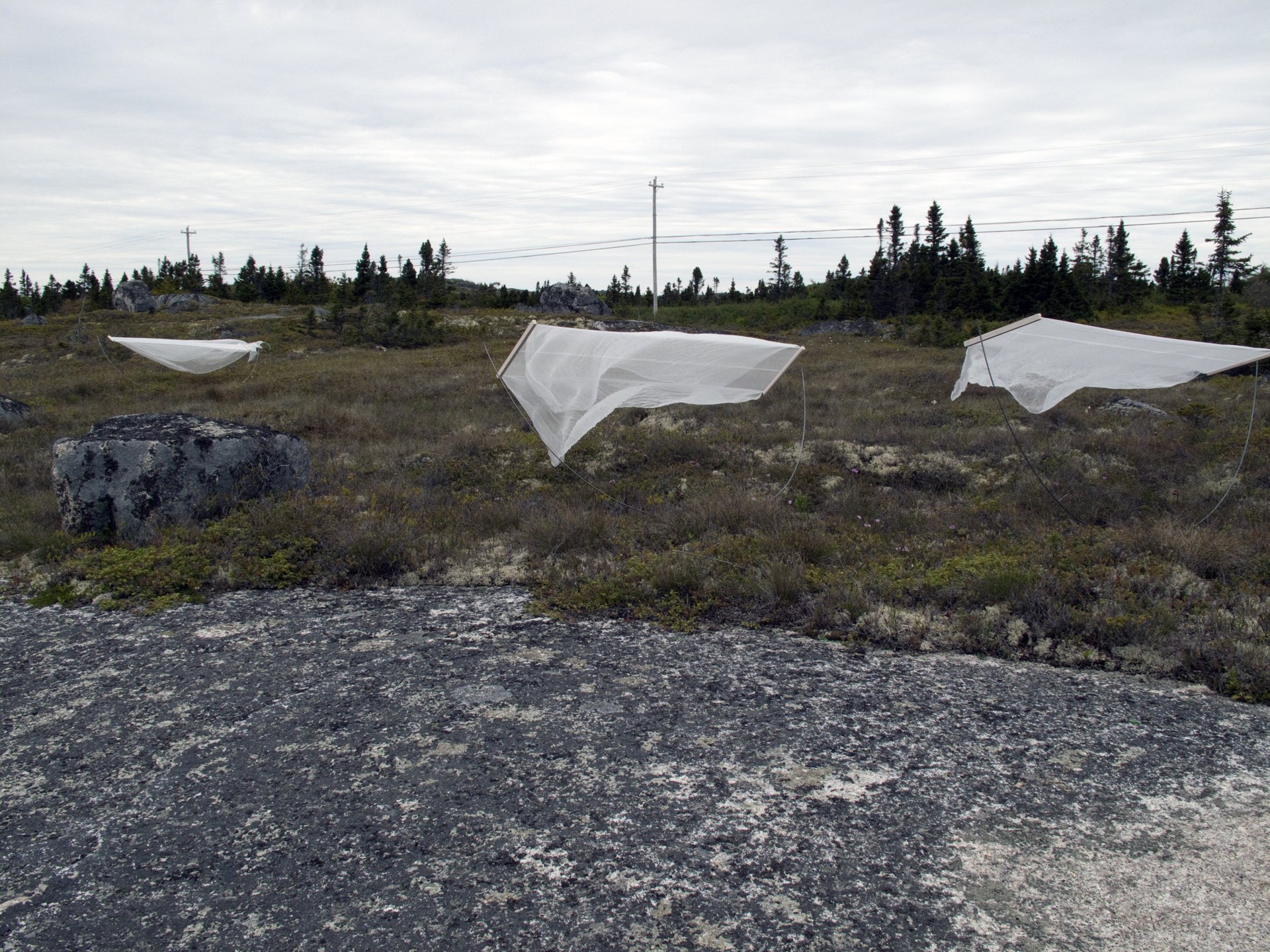 Slip, Peggy's Cove, 2010
