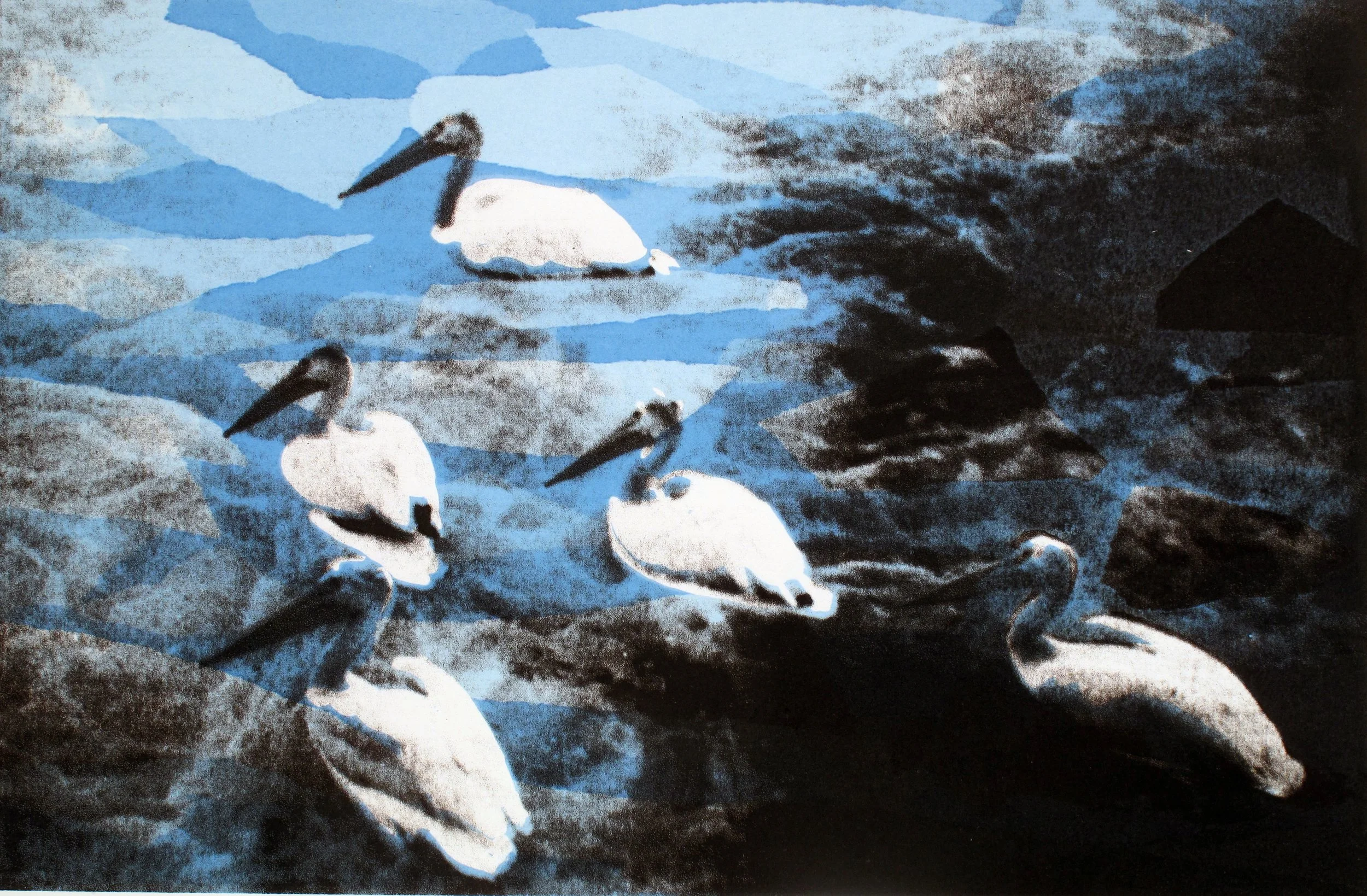 Pelicans on the Bow, silkscreen, 2005