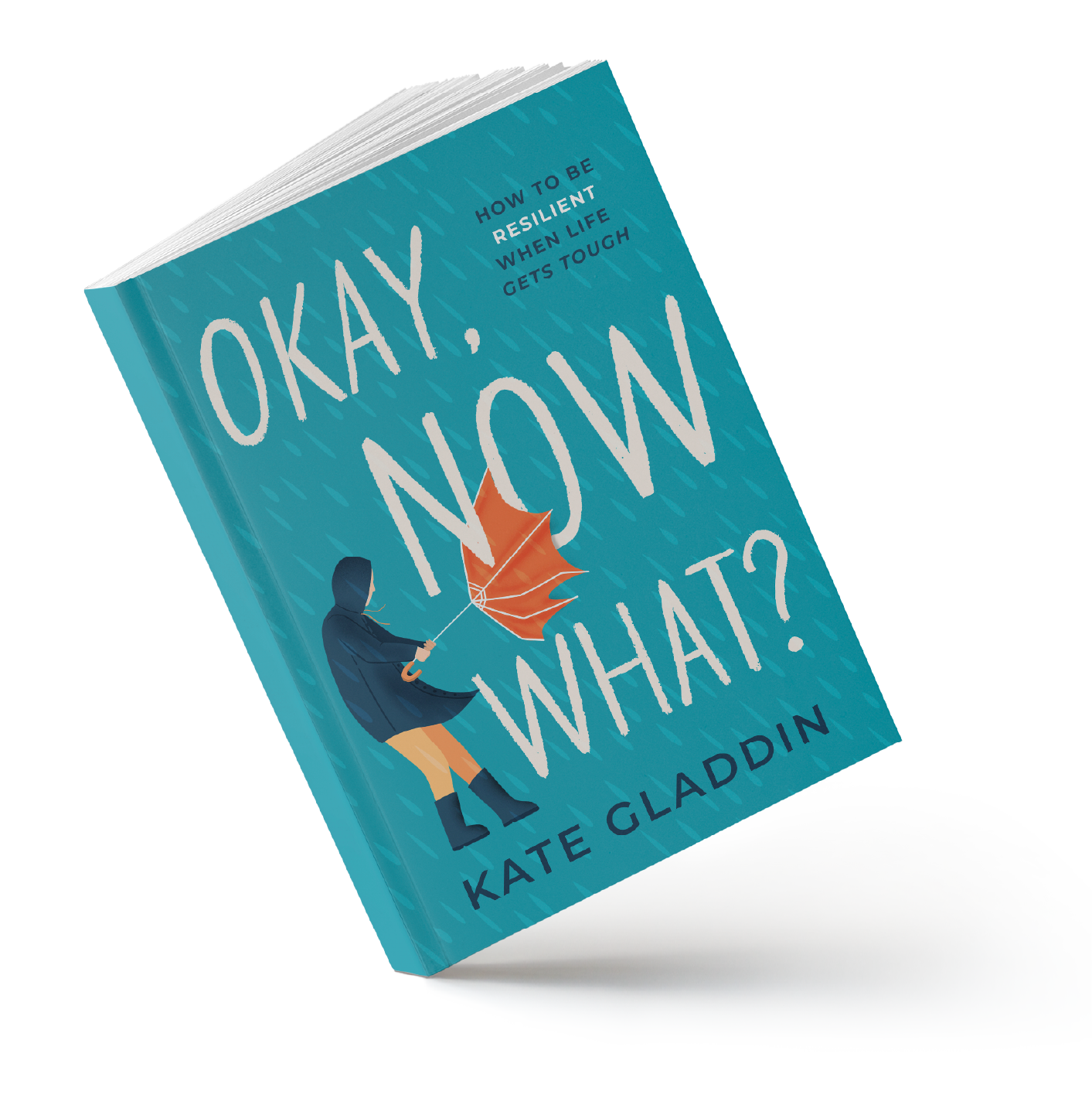 I graphic of the book Okay Now What by Kate Gladdin