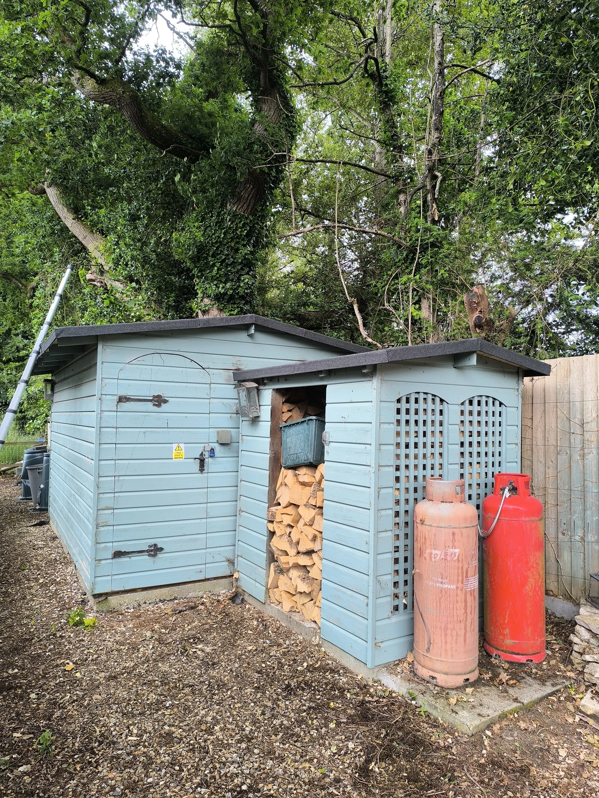 A light blue wooden shed with a pitched roof, containing stacked firewood, propane tanks outside, and a small ladder leaning against a tree in a green backyard.