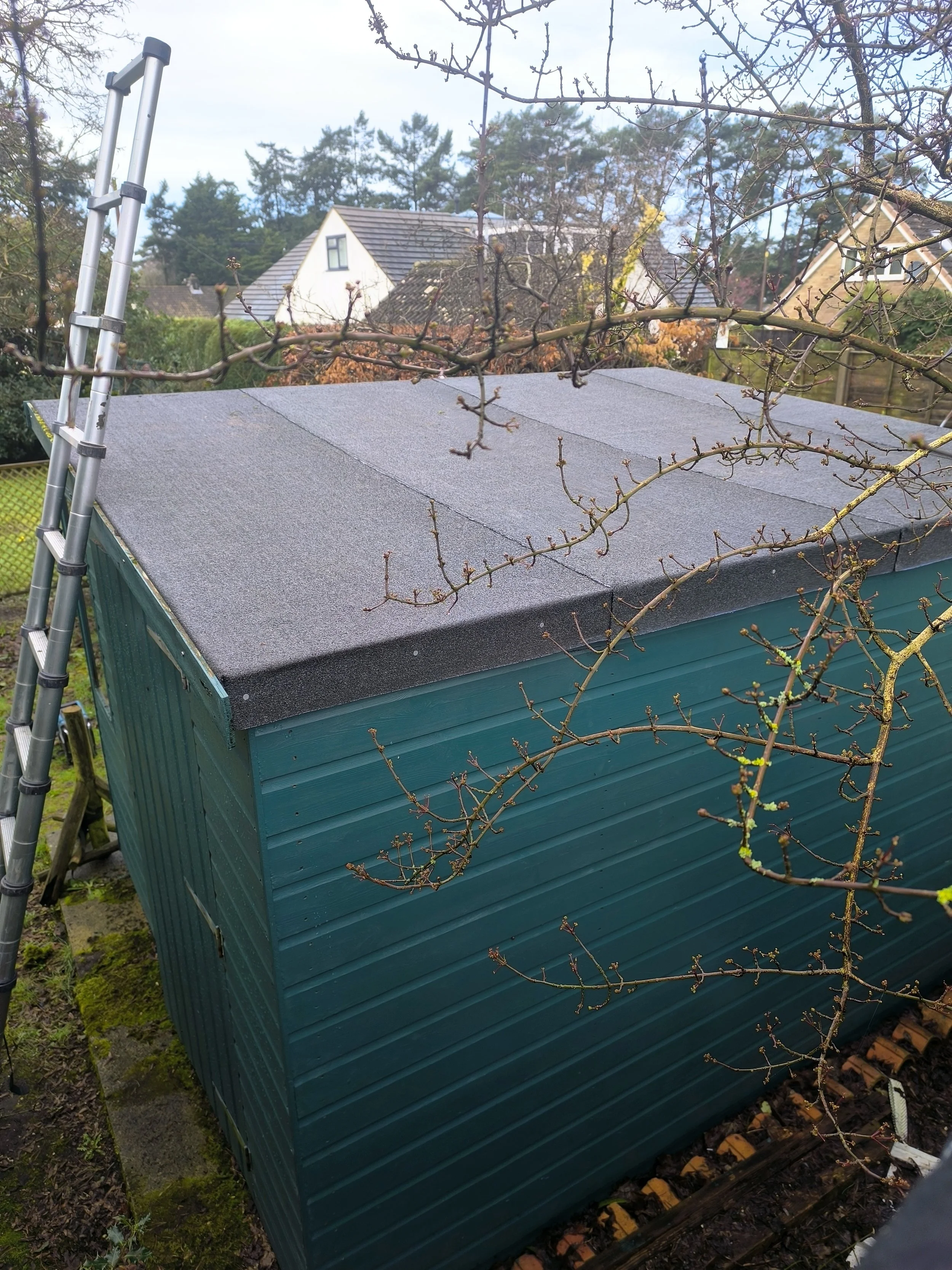 A small teal shed with a black asphalt shingle roof, next to a leafless tree branch, outdoors with houses and trees in the background.
