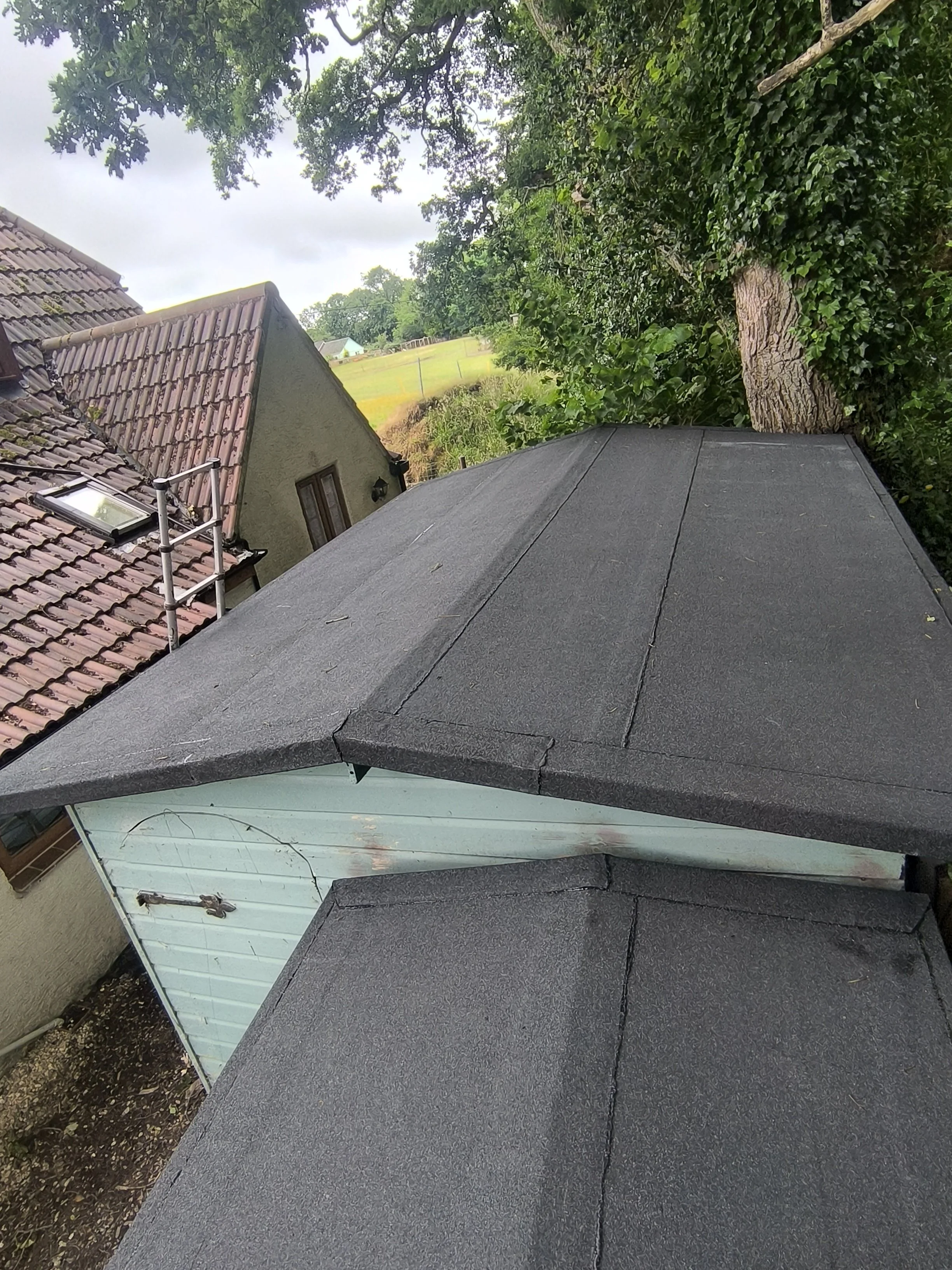 Aerial view of rooftops with dark shingles, a green house with light blue siding, a large tree, and a grassy field in the background under an overcast sky.