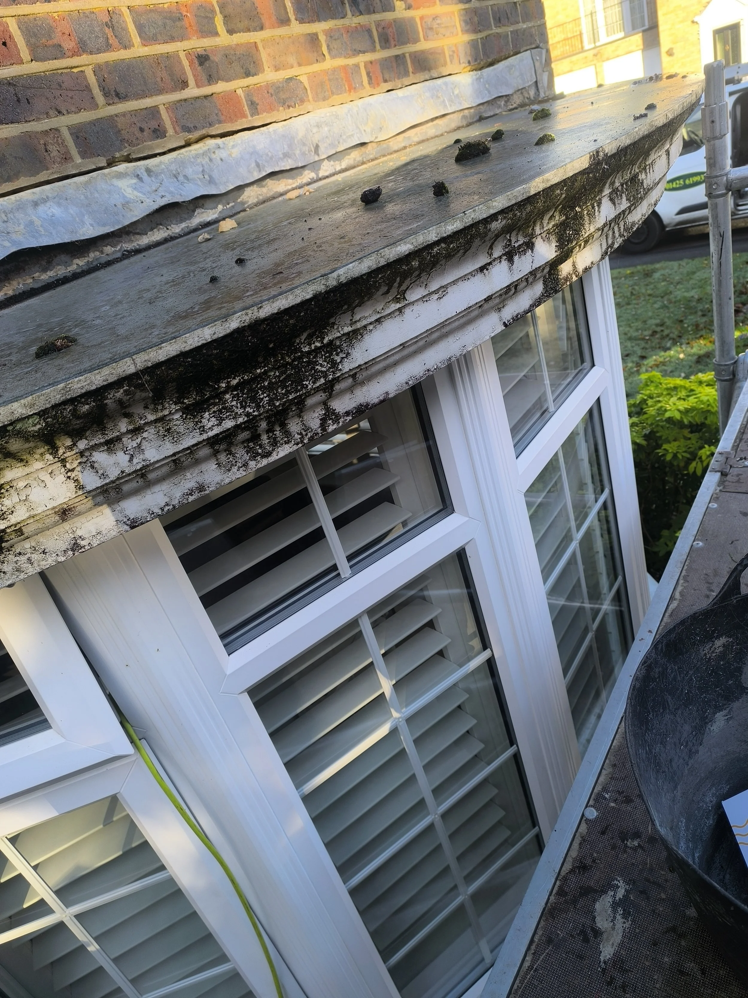 Close-up of a building's exterior showing a white-framed window with shutters, surrounded by a brick wall, with a concrete ledge above the window covered in moss and dirt, and some black debris on top.