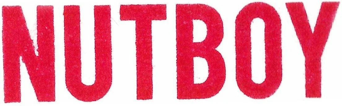 Nutboy World