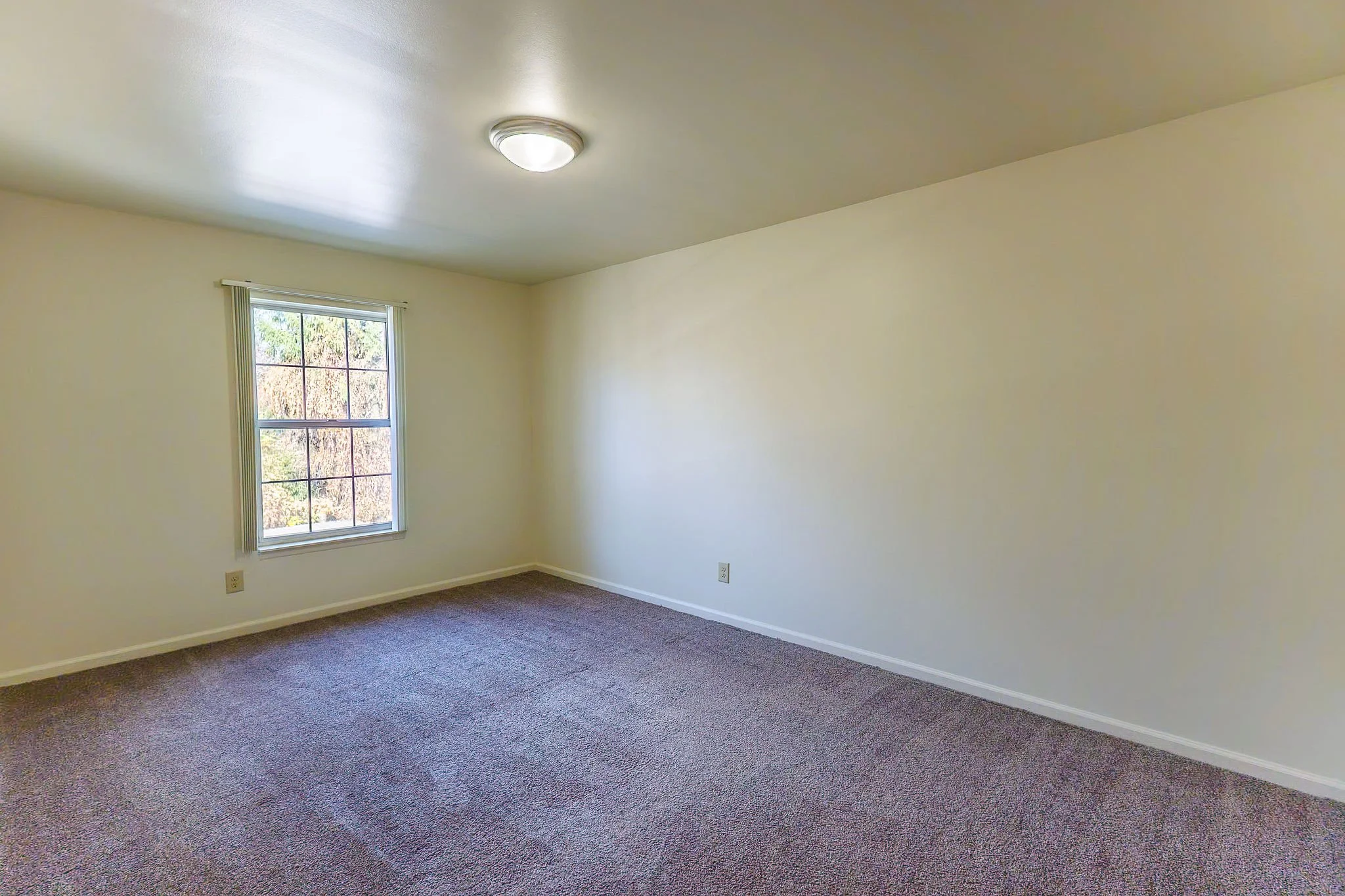 Empty room with beige walls, a window, brown carpet, and a ceiling light.
