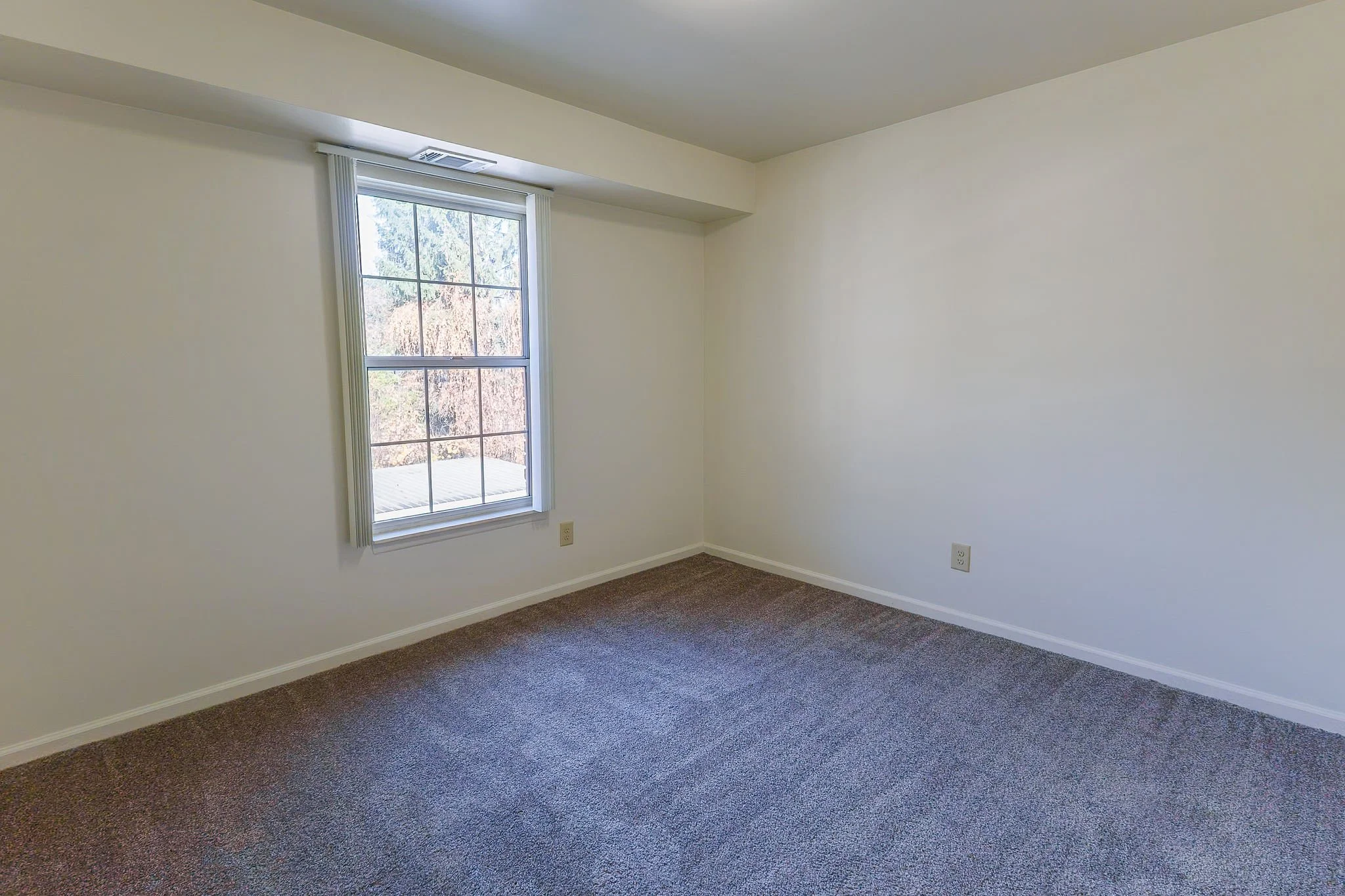 Empty room with beige walls, brown carpet, and a single window with white frame and vertical blinds.
