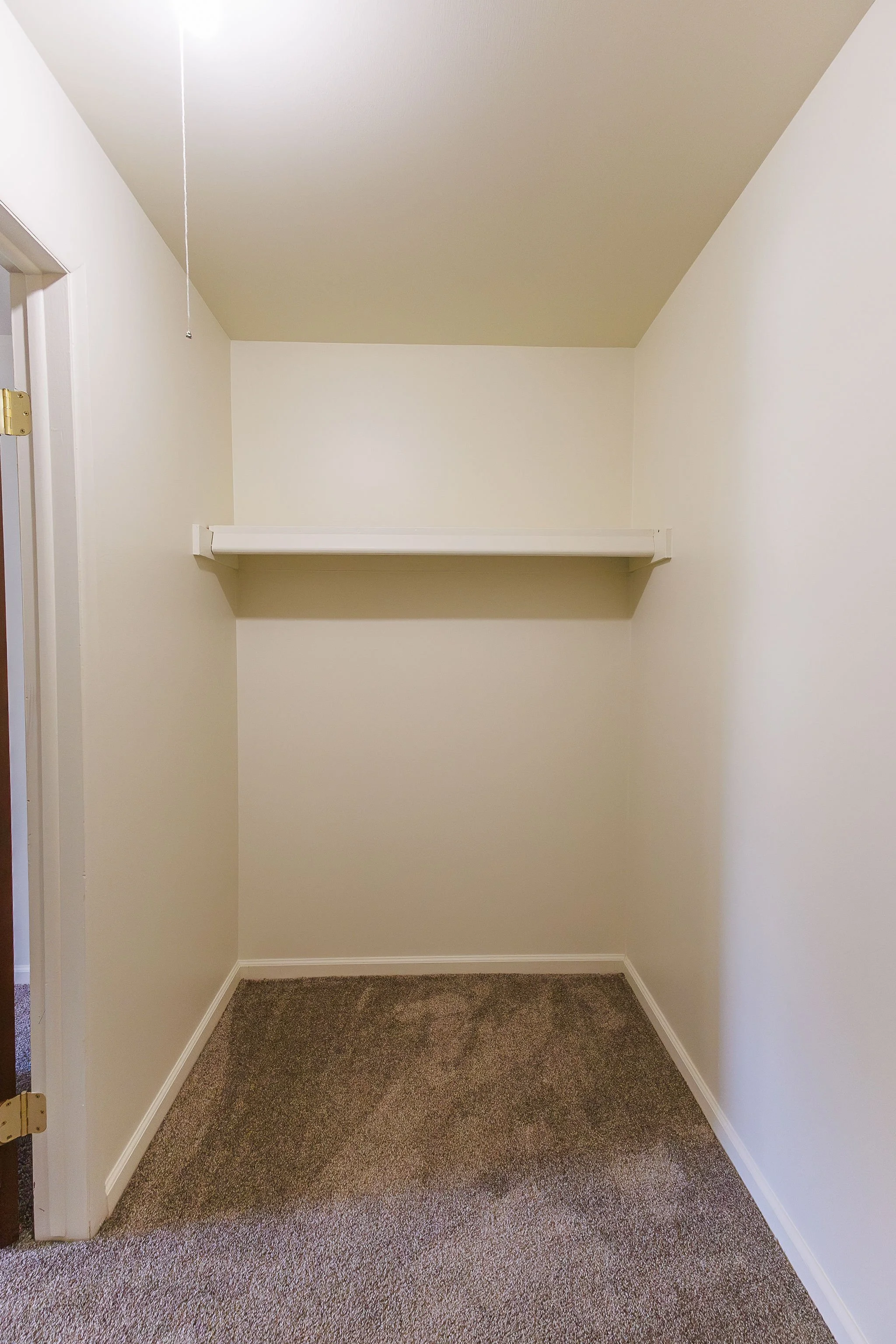 Empty closet with a shelf and carpeted floor.