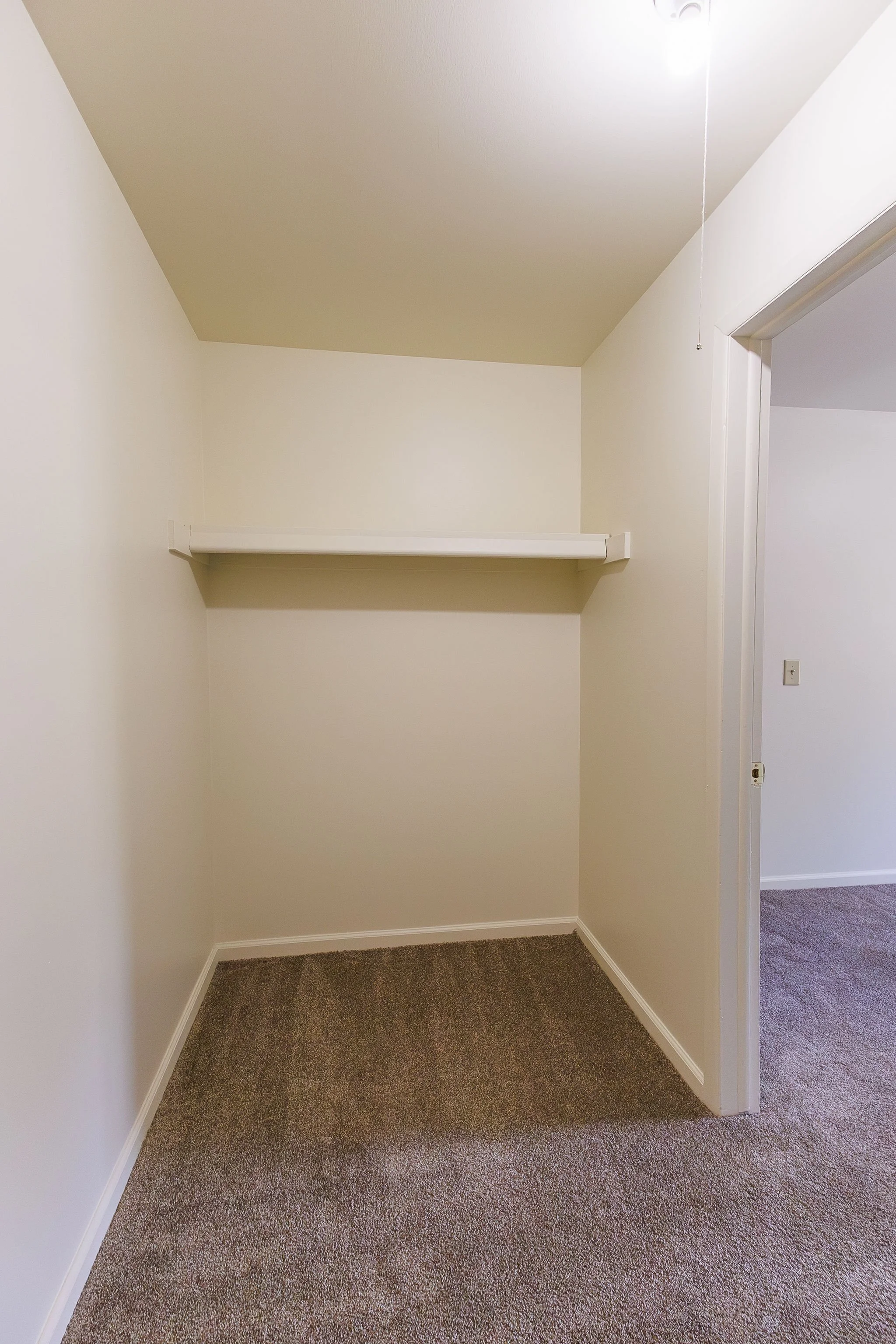 Empty closet with a shelf, beige walls, brown carpet, and an open doorway leading to a room.