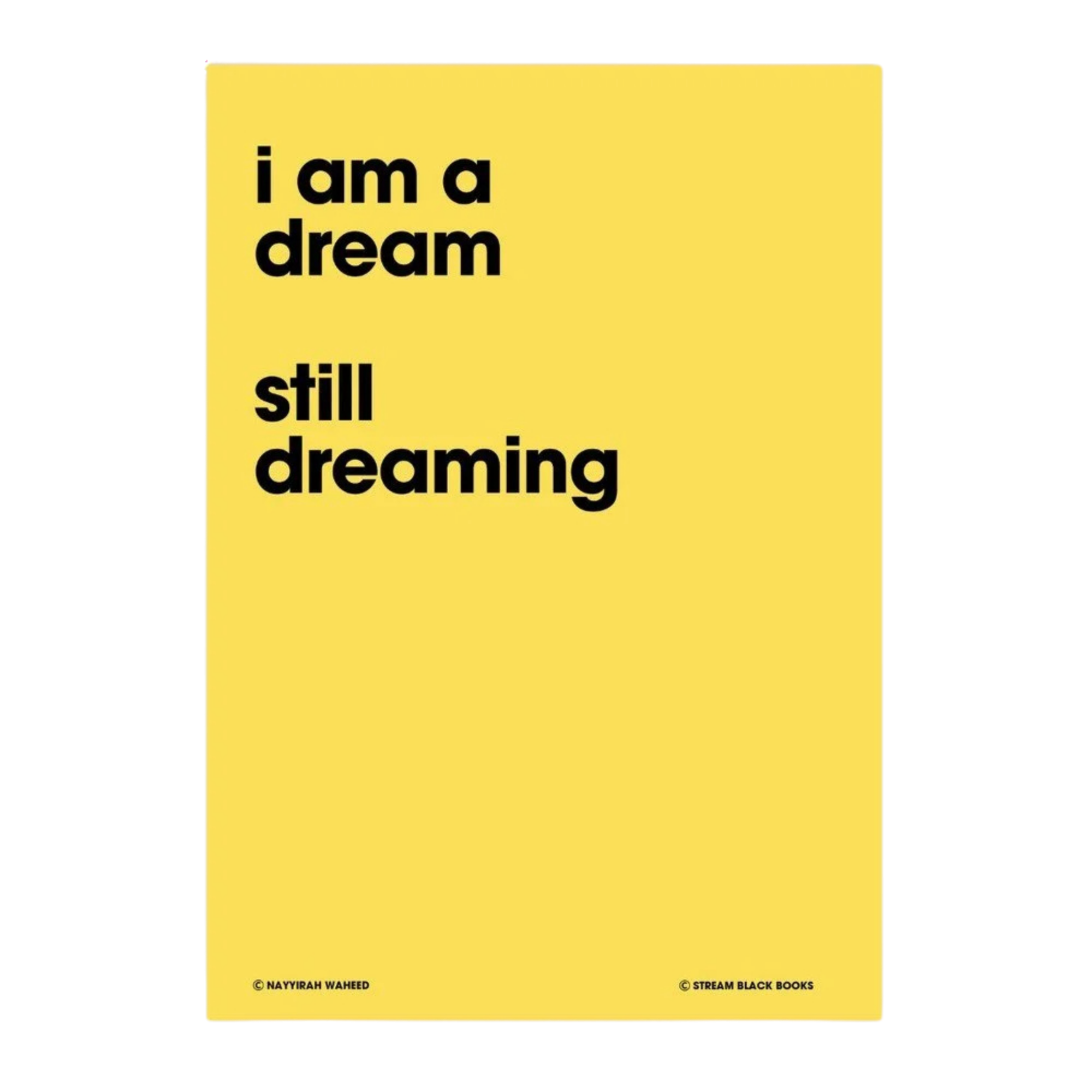‘Dream In Dream’ Poster X SBB X NAYYIRAH WAHEED X SALT