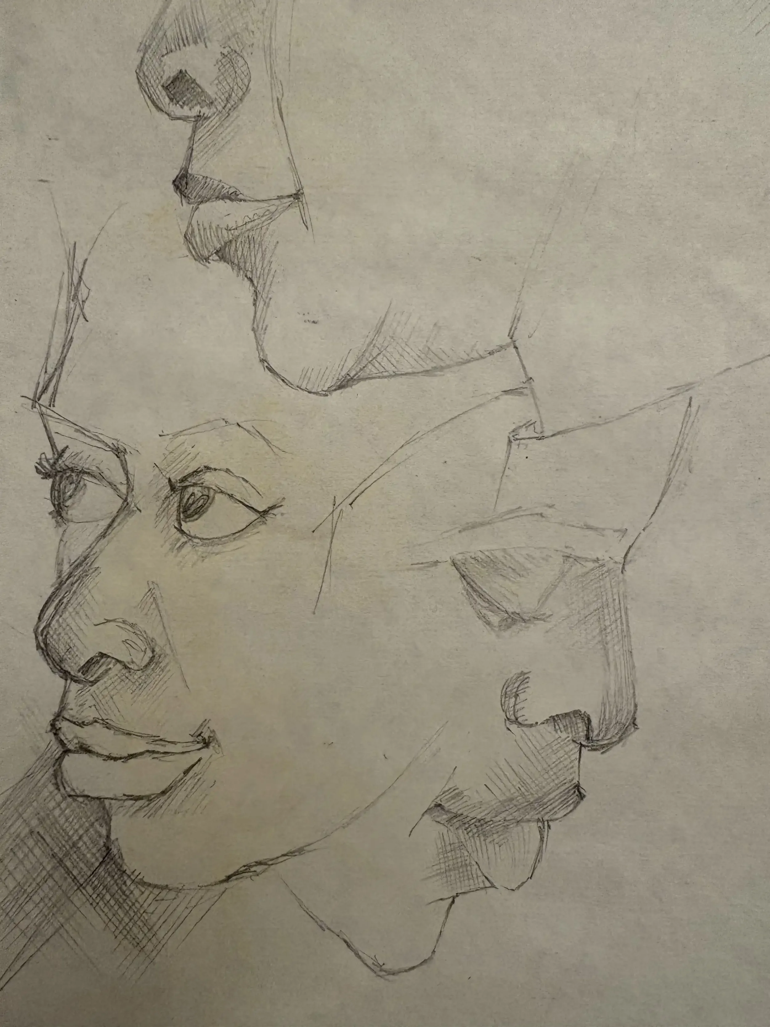 Sketch of three different profiles of a woman's face in side view, showing detailed features like lips, nose, and eyes.