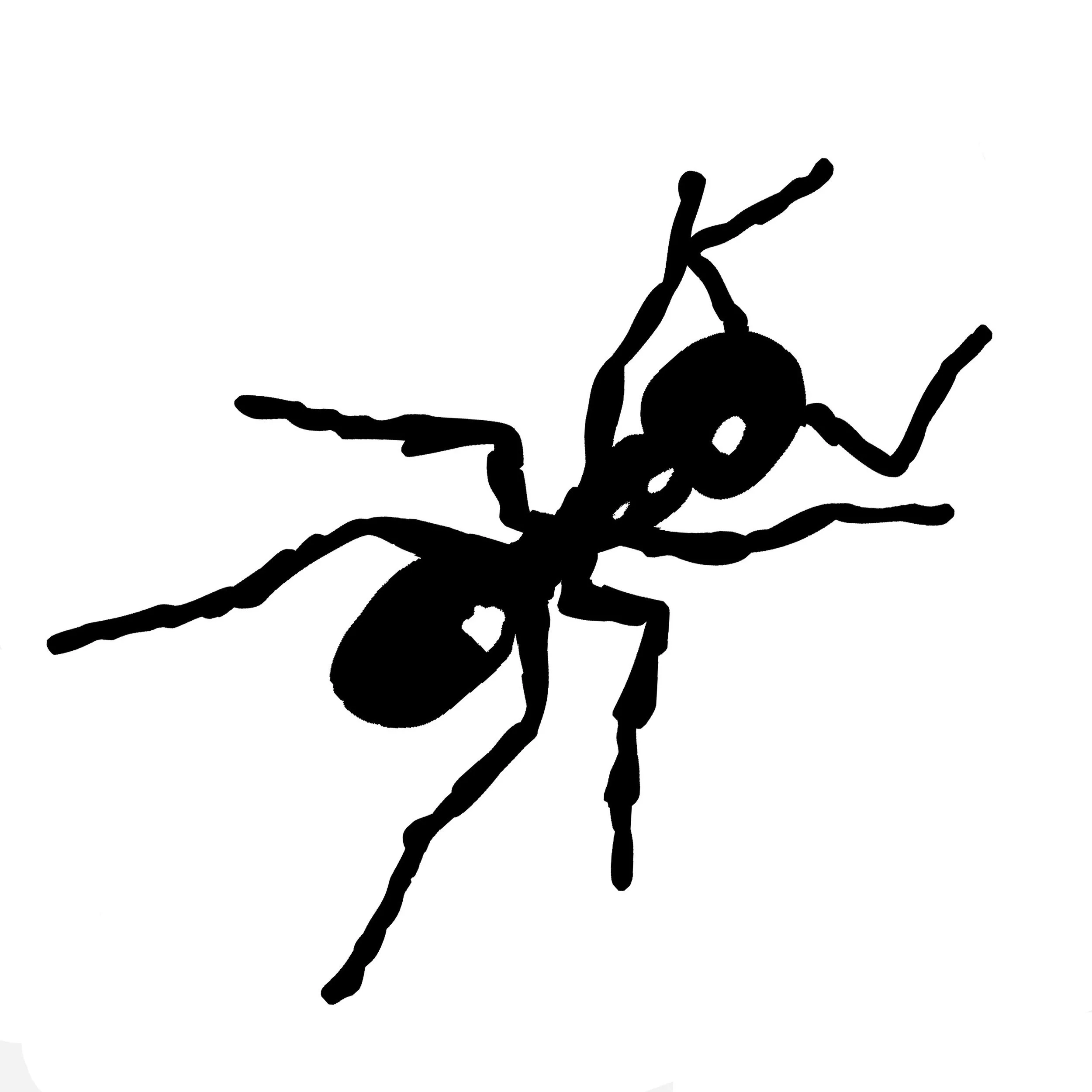 Black silhouette of an ant on a white background.